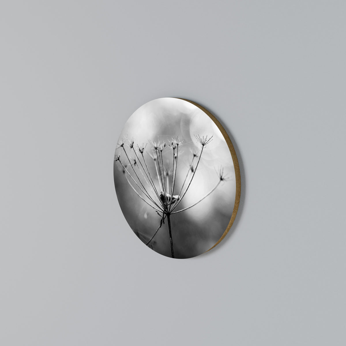 MINIMALIST BLOOM Rundes Wandbild