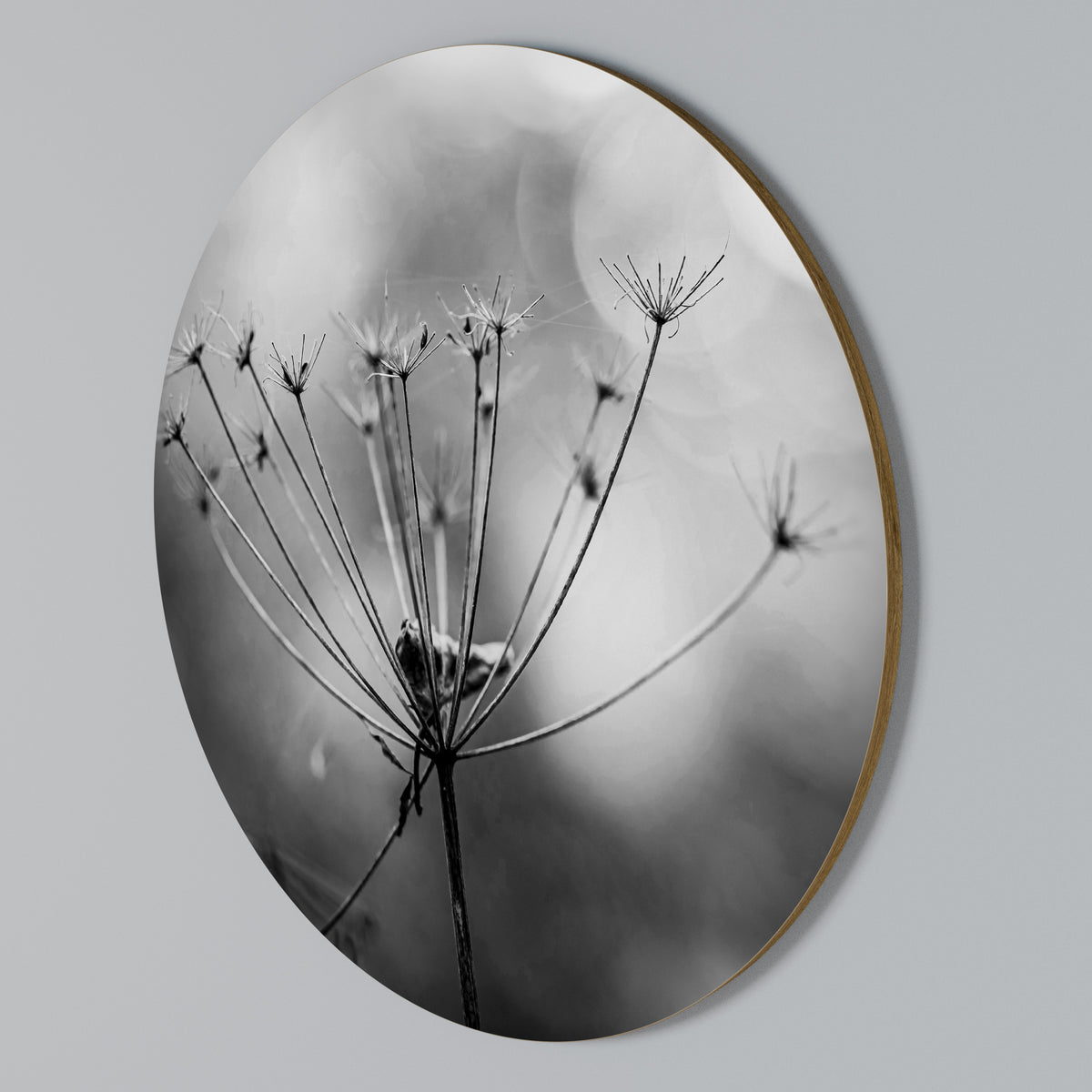 MINIMALIST BLOOM Rundes Wandbild