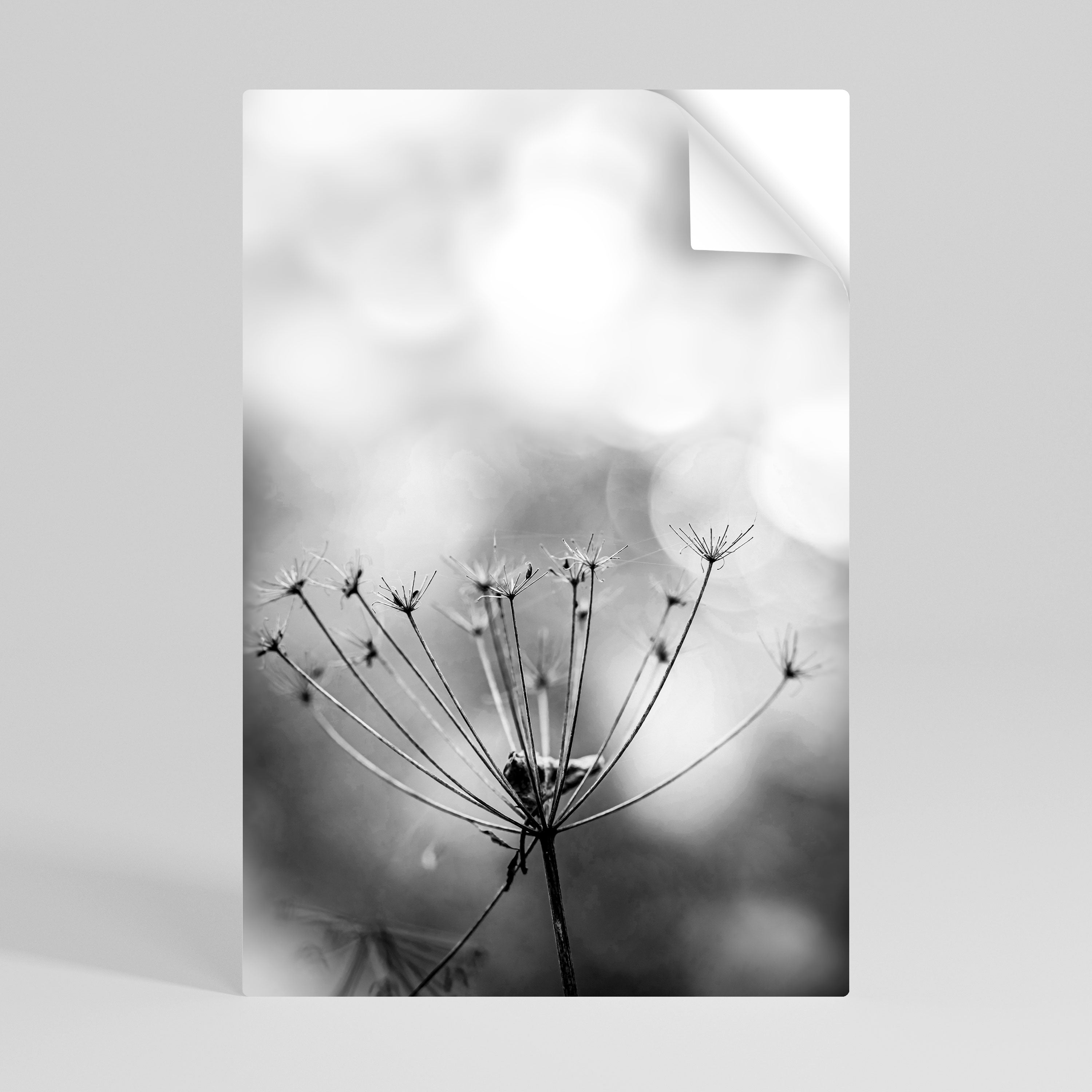 MINIMALIST BLOOM Vertikales Poster zum Abziehen und Aufkleben