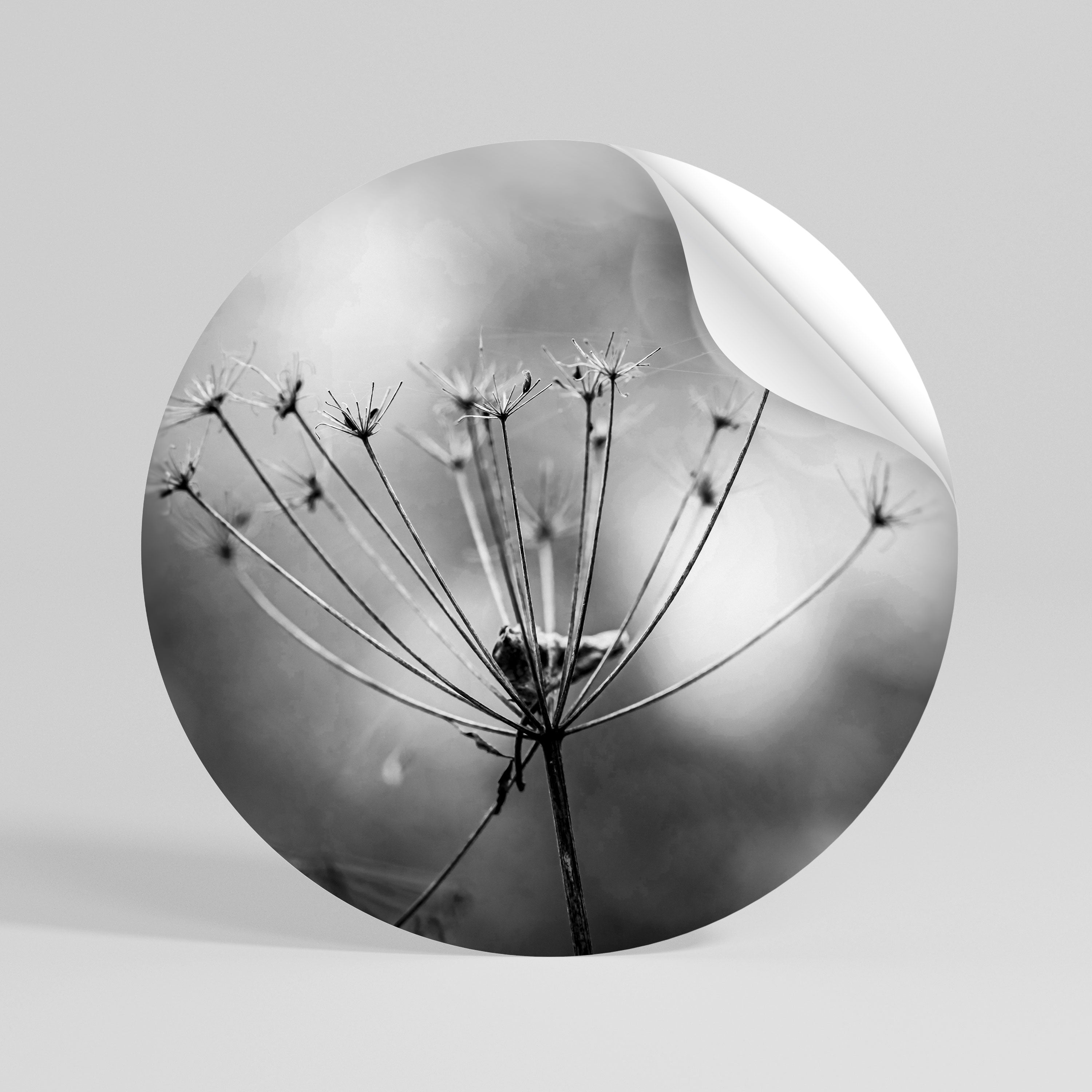 MINIMALIST BLOOM Runder Wandsticker zum Abziehen und Aufkleben