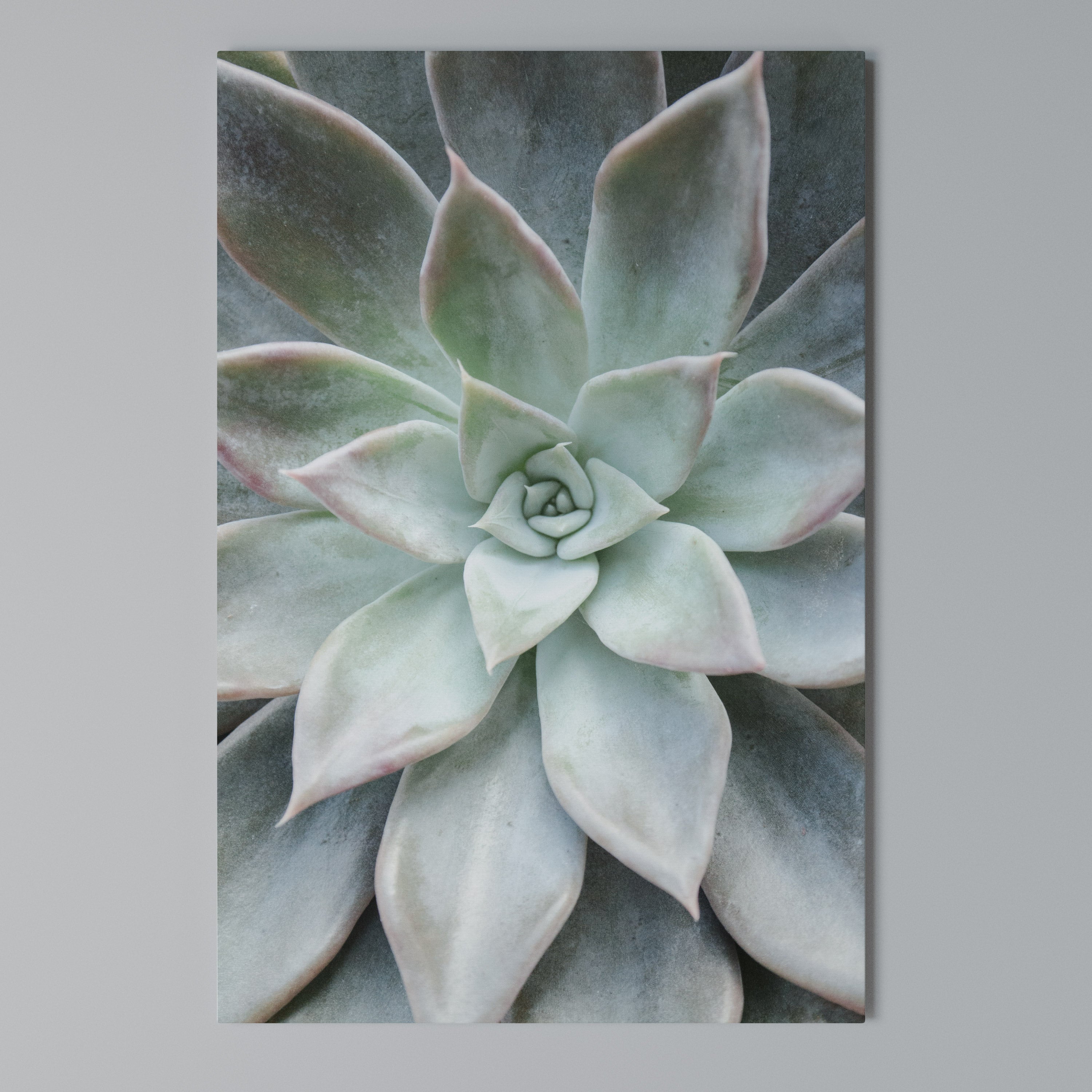 GEOMETRIC GARDEN MAGIC Vertical Canvas Print