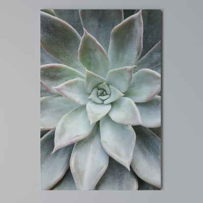 GEOMETRIC GARDEN MAGIC Vertical Canvas Print