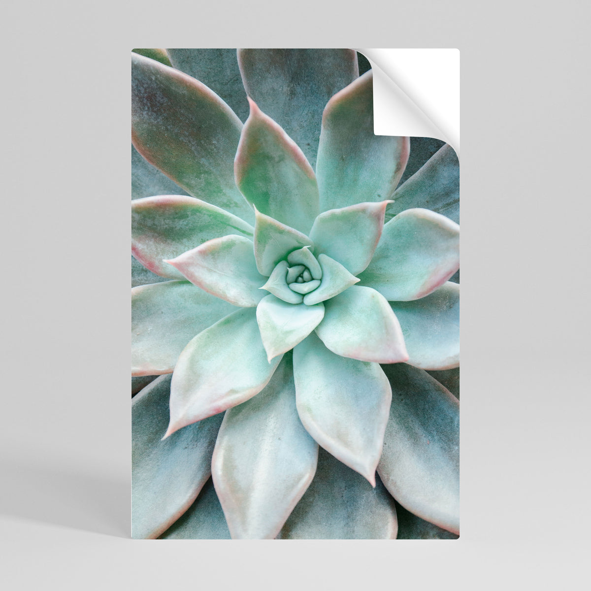 GEOMETRIC GARDEN MAGIC Selbstklebendes Poster - Hochformat