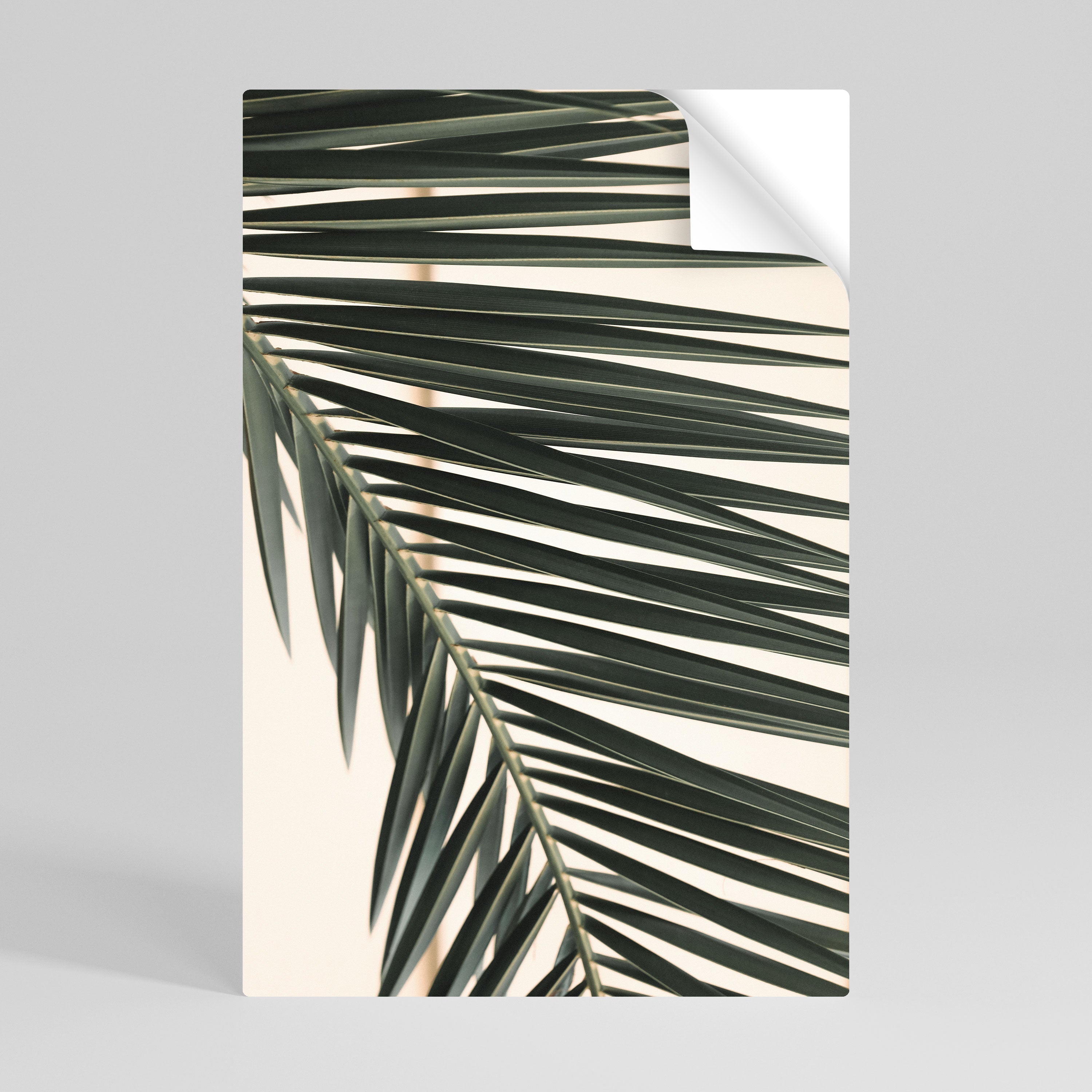 PALM SYMPHONY Vertikales Poster zum Abziehen und Aufkleben