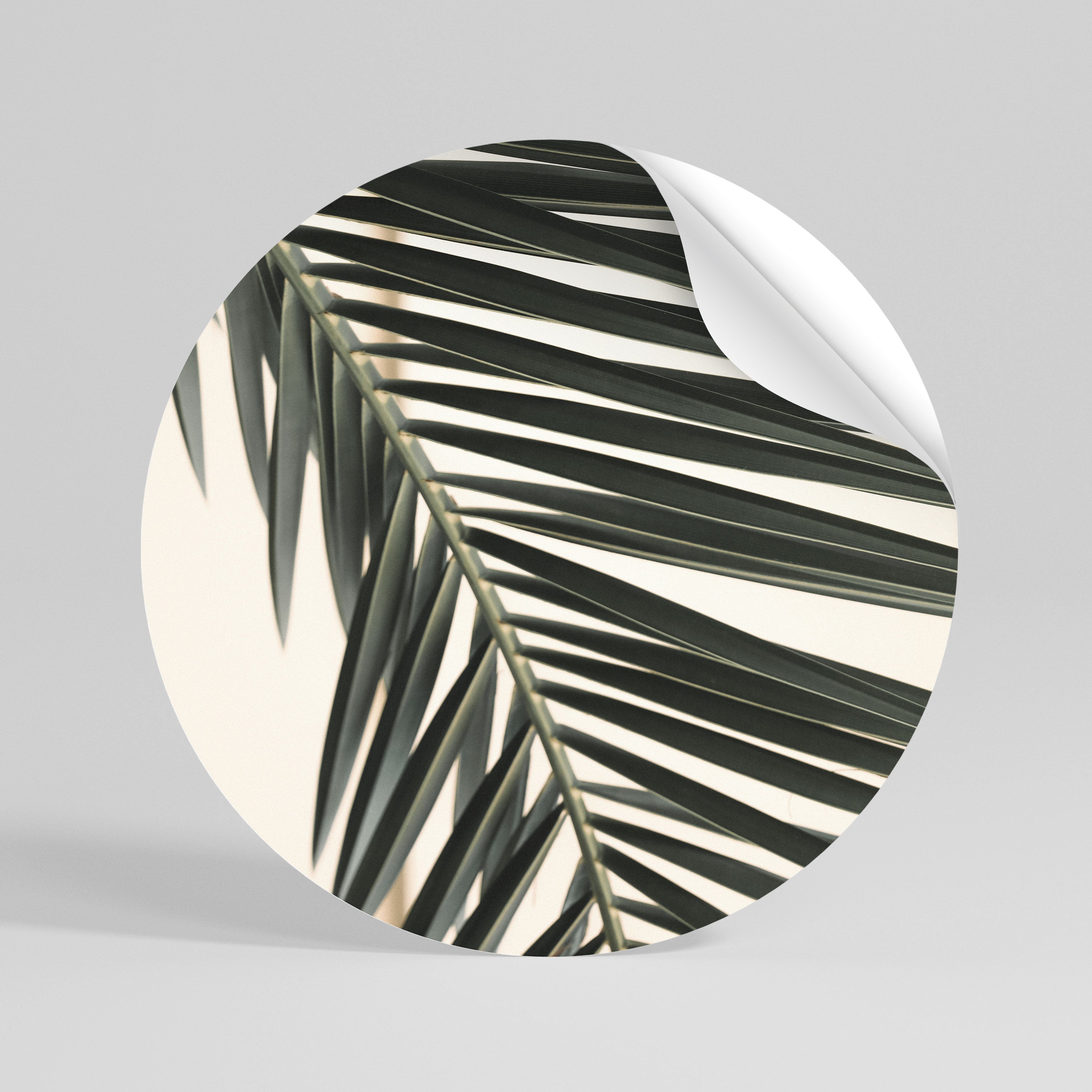PALM SYMPHONY Runder Wandsticker zum Abziehen und Aufkleben