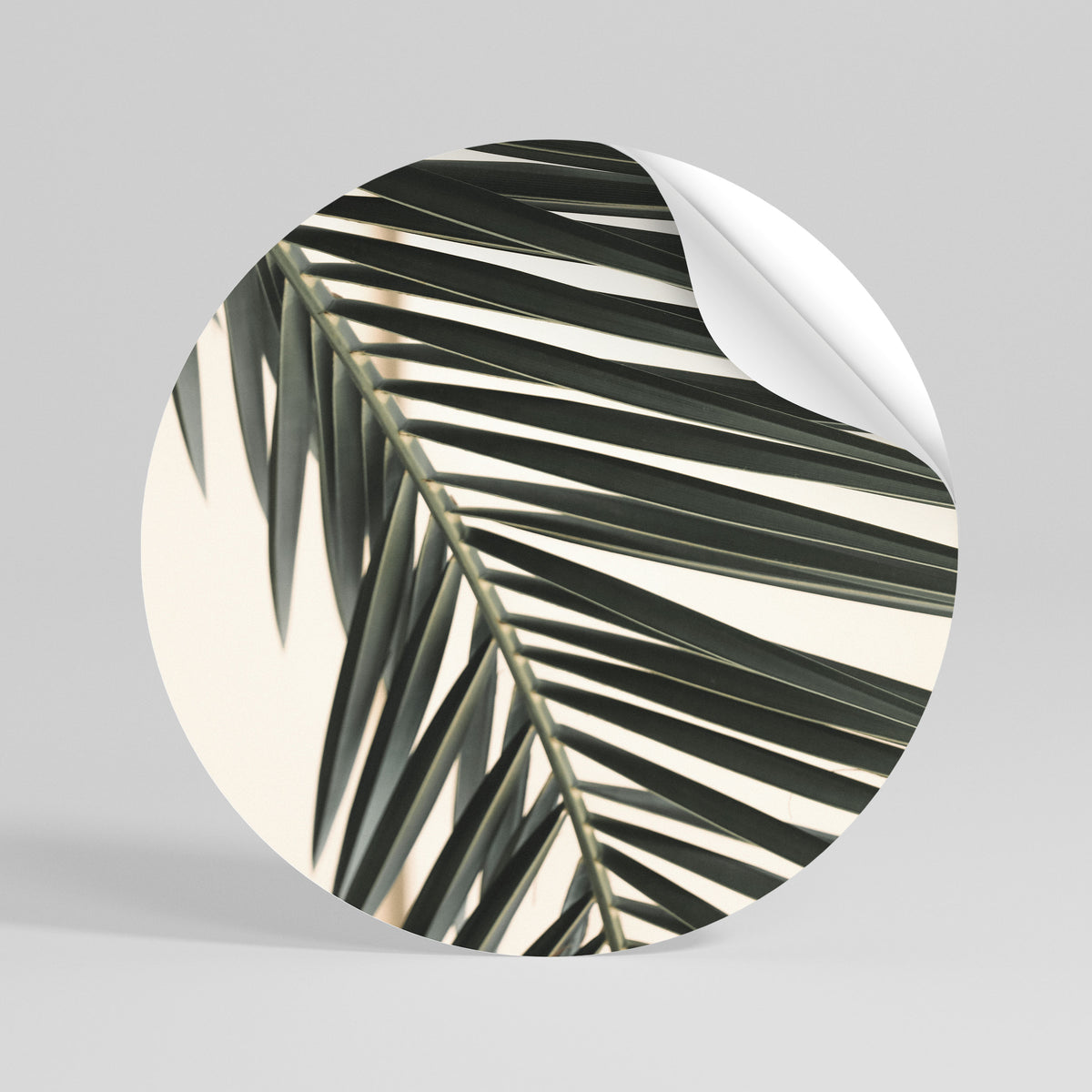 PALM SYMPHONY Peel and Stick Round Sticker