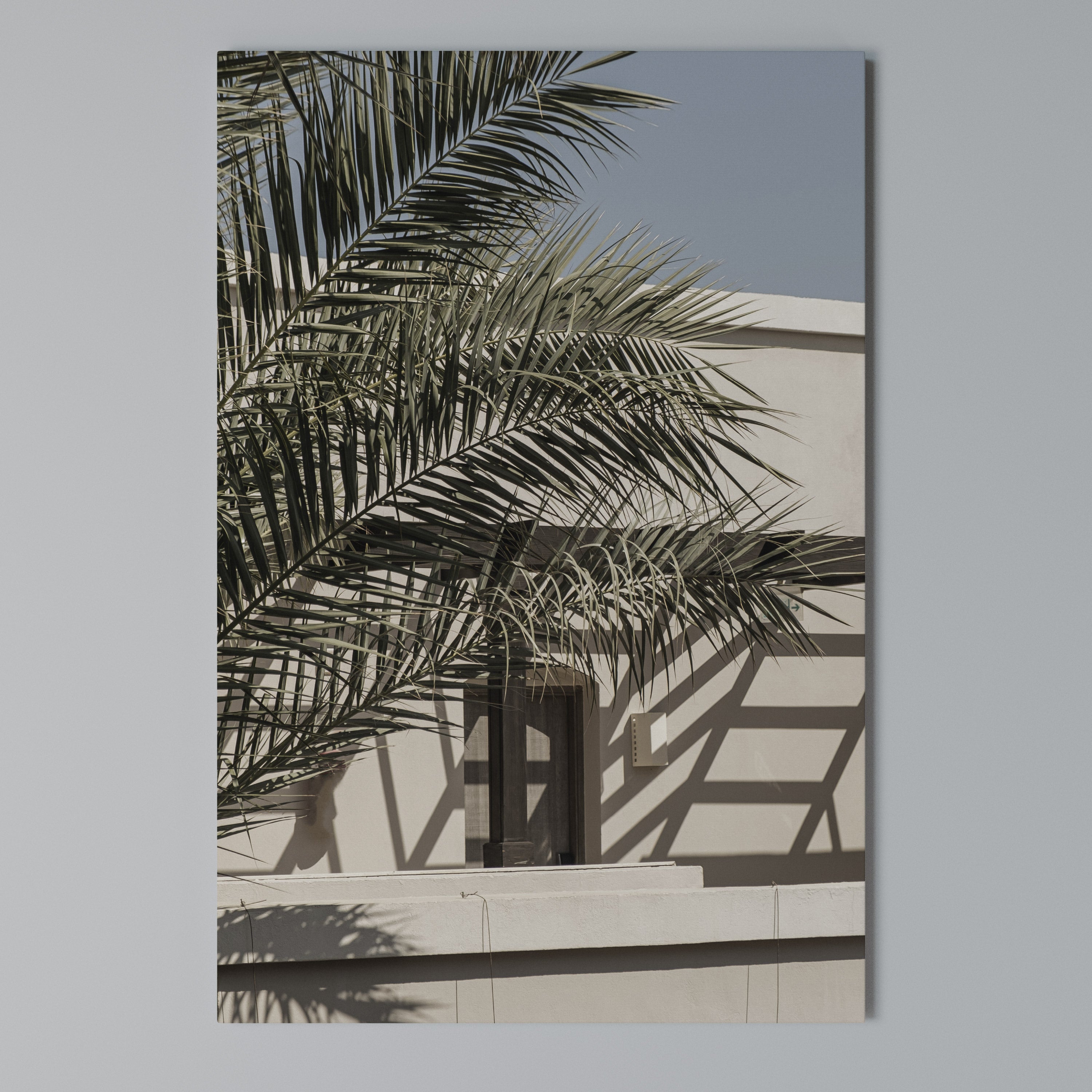 PALM SHADOW DANCE Vertical Canvas Print
