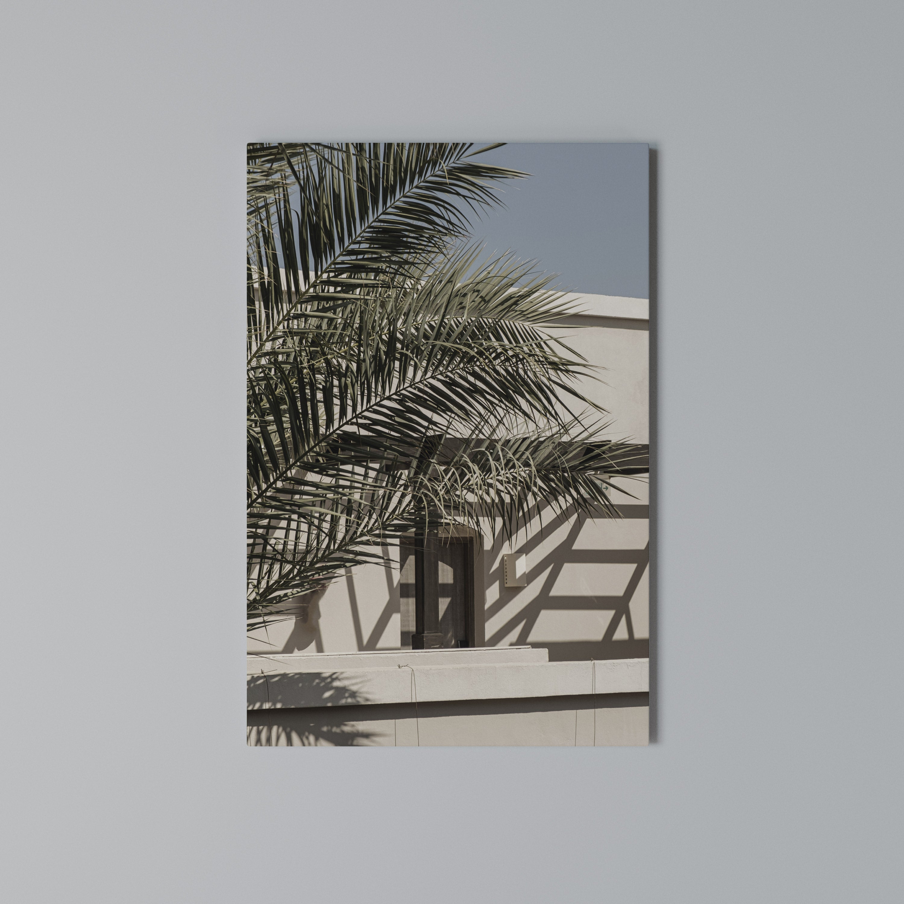 PALM SHADOW DANCE Vertical Canvas Print