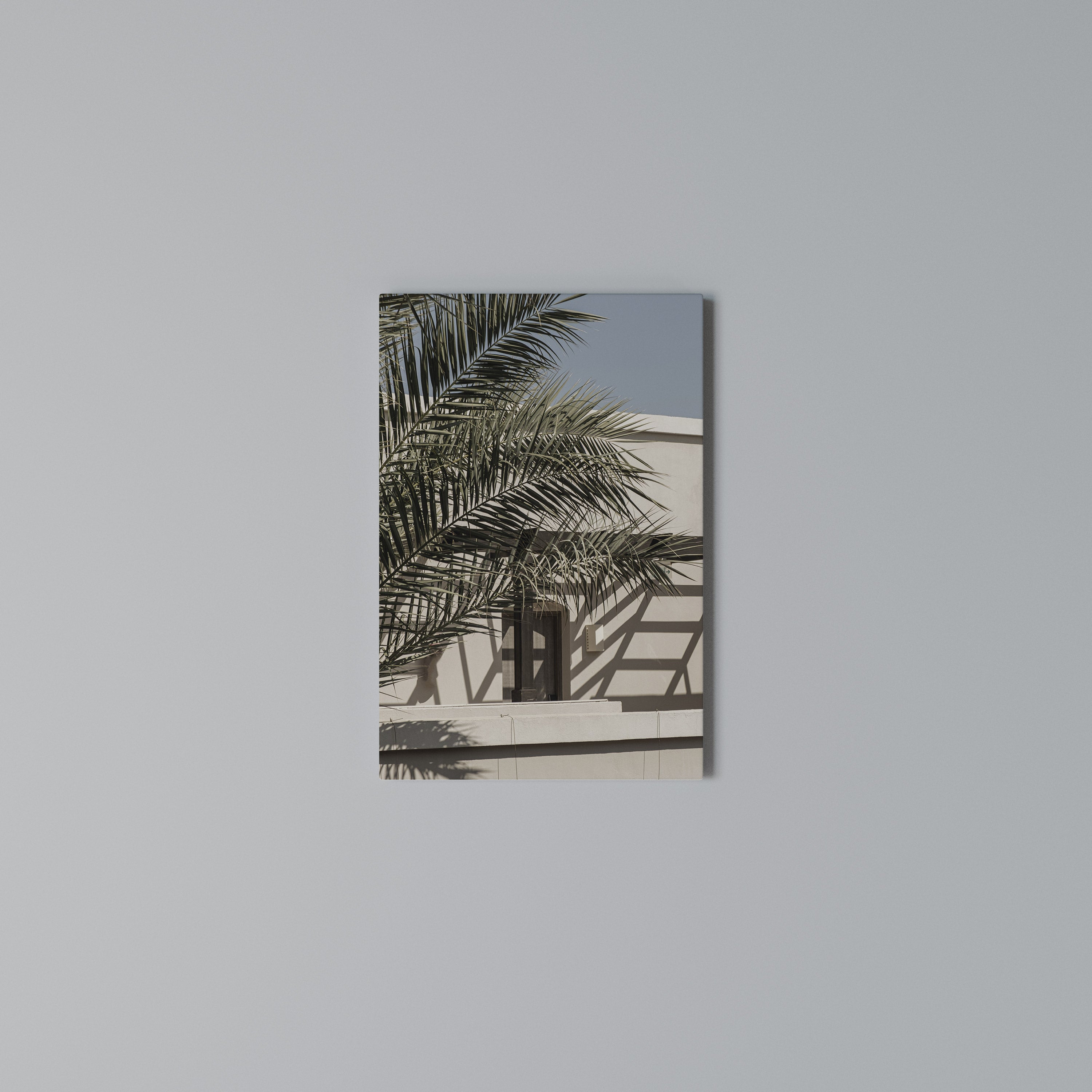 PALM SHADOW DANCE Vertical Canvas Print