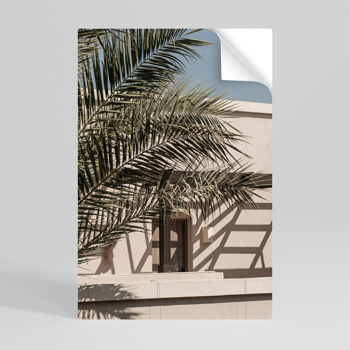PALM SHADOW DANCE Selbstklebendes Poster - Hochformat