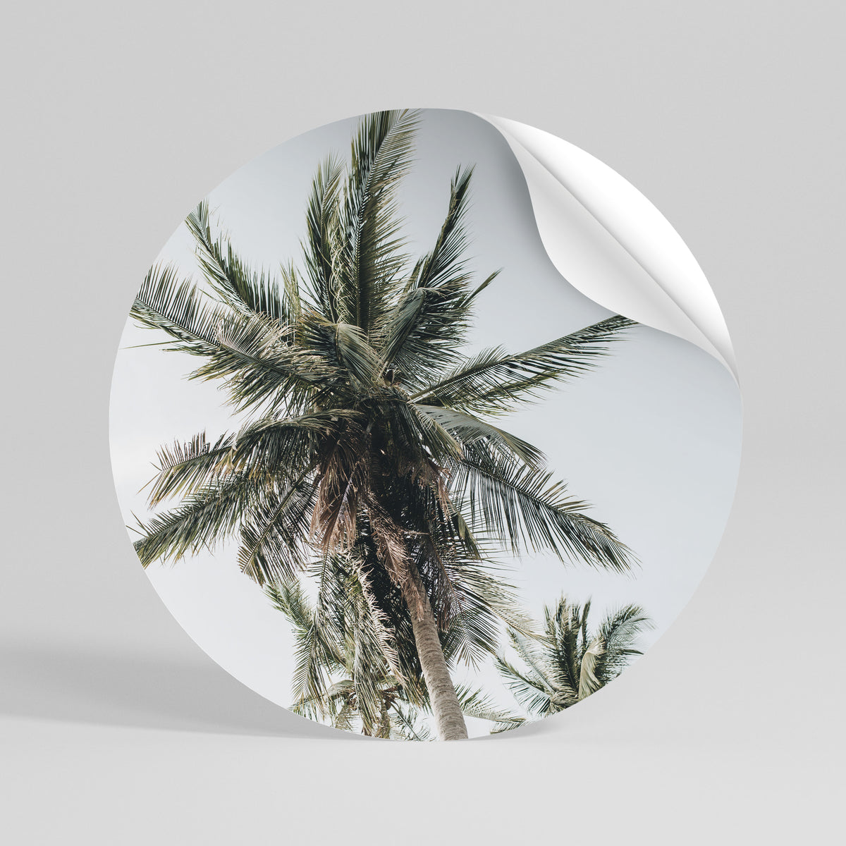 PALM PARADISE SIGHT Peel and Stick Round Sticker