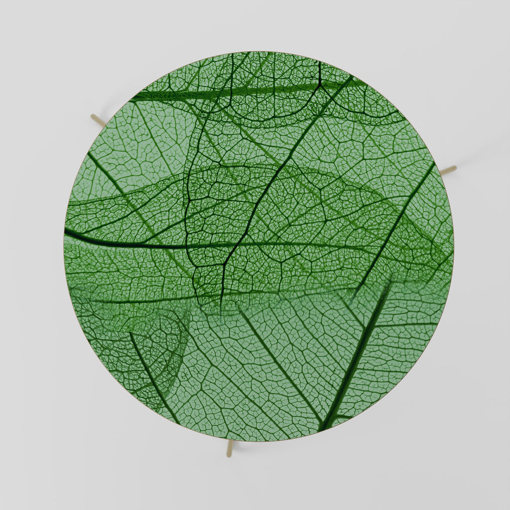 VEINS OF LIFE Couchtisch 69