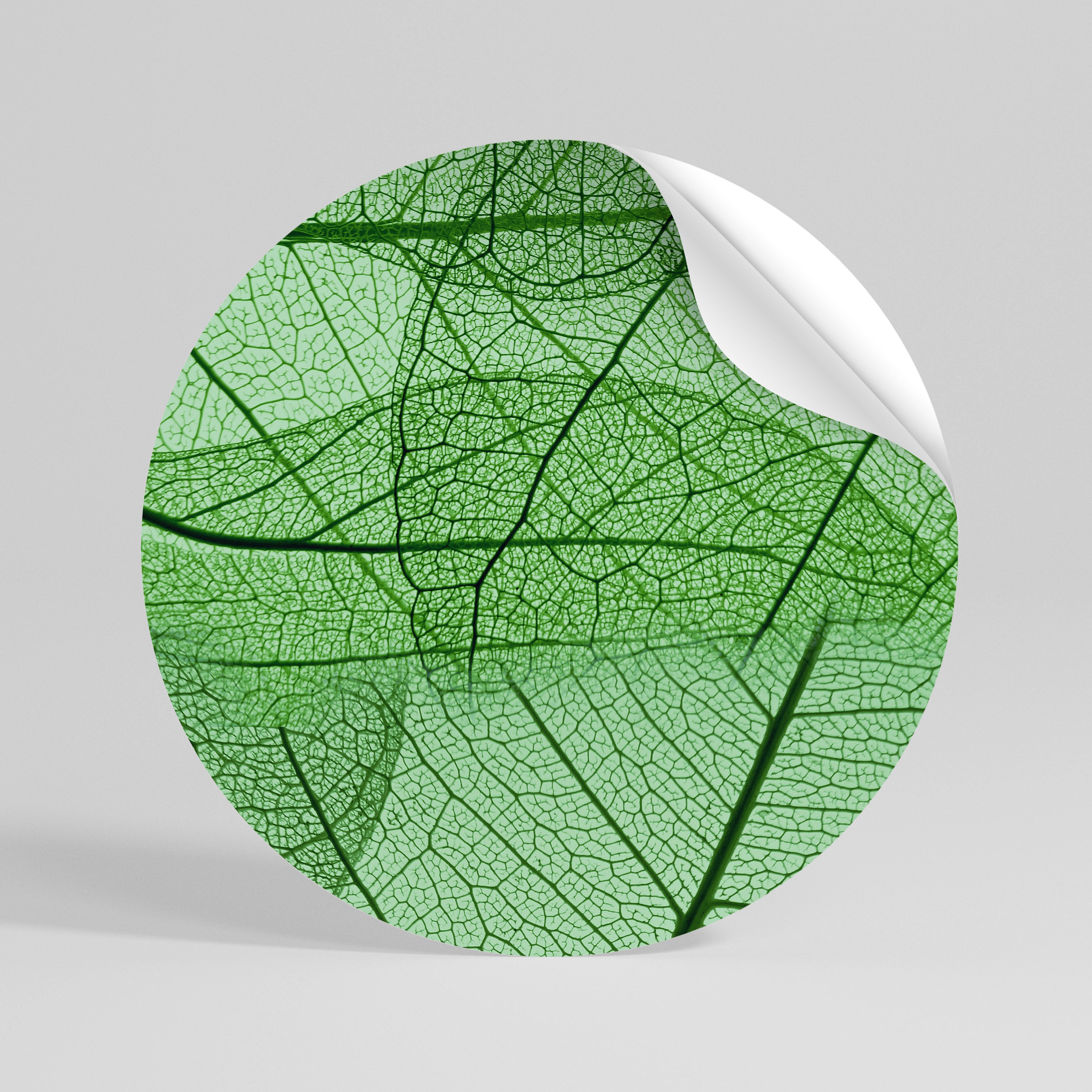 VEINS OF LIFE Runder Wandsticker zum Abziehen und Aufkleben