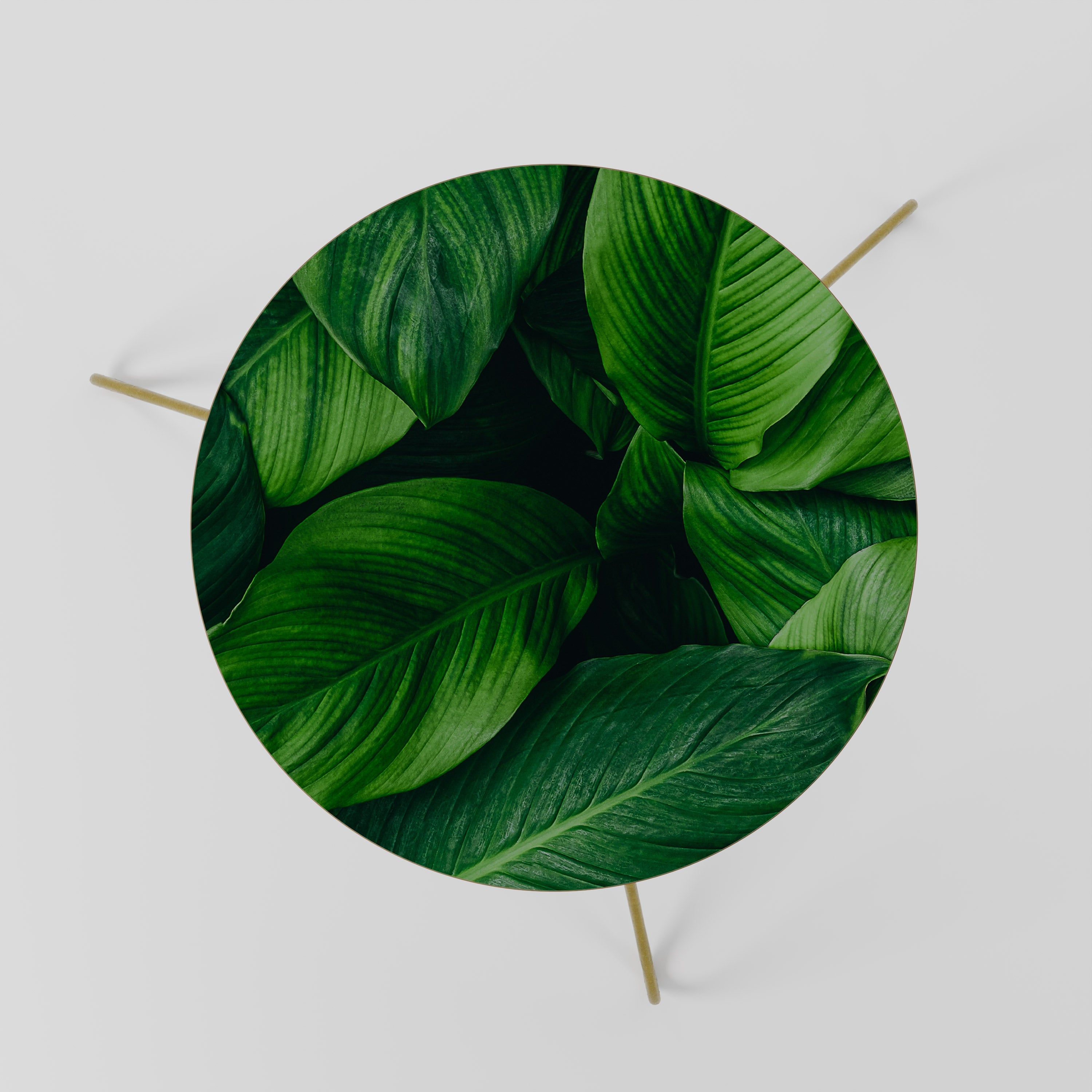 VIBRANT LEAFY EMBRACE Couchtisch 60