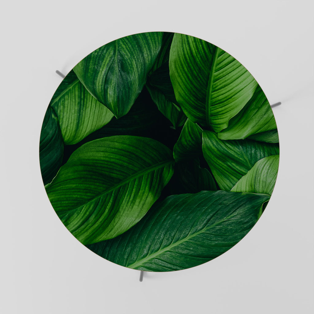 VIBRANT LEAFY EMBRACE Couchtisch 69