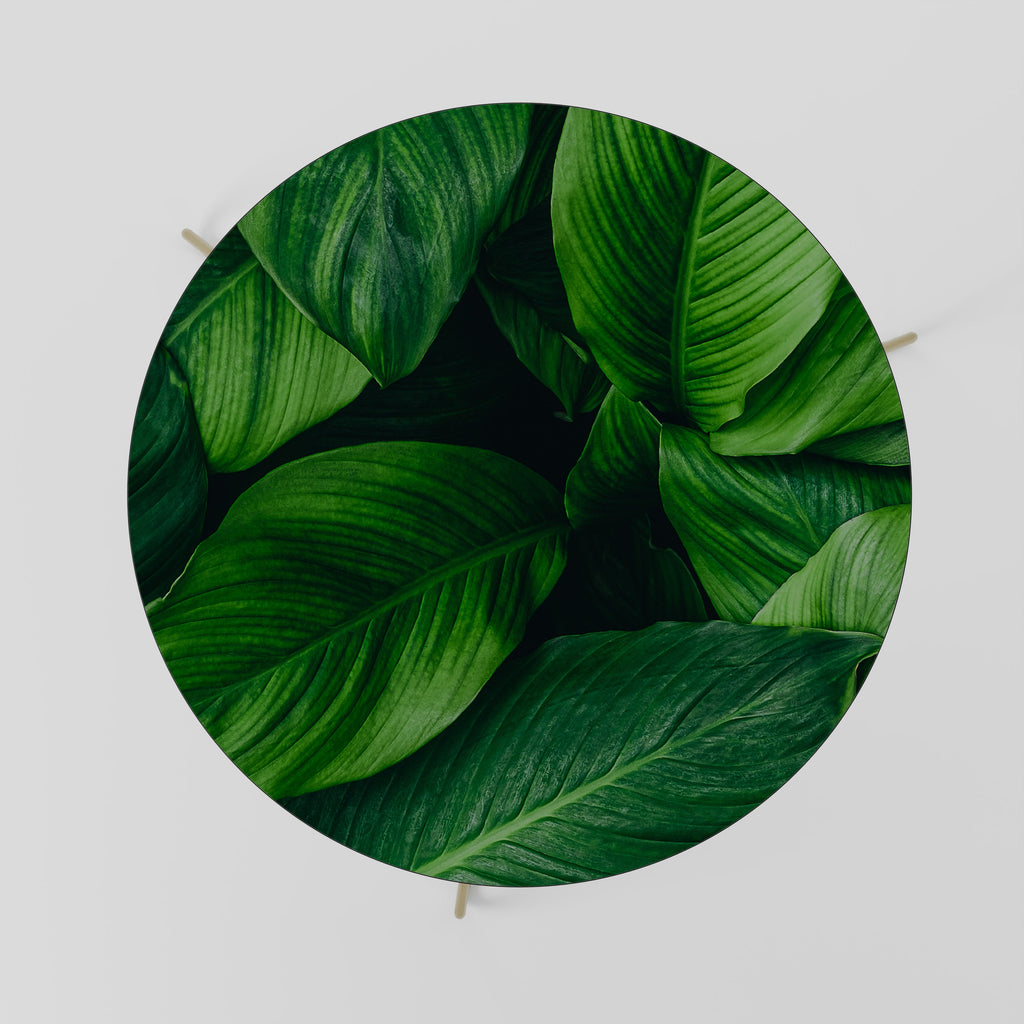 VIBRANT LEAFY EMBRACE Couchtisch 69