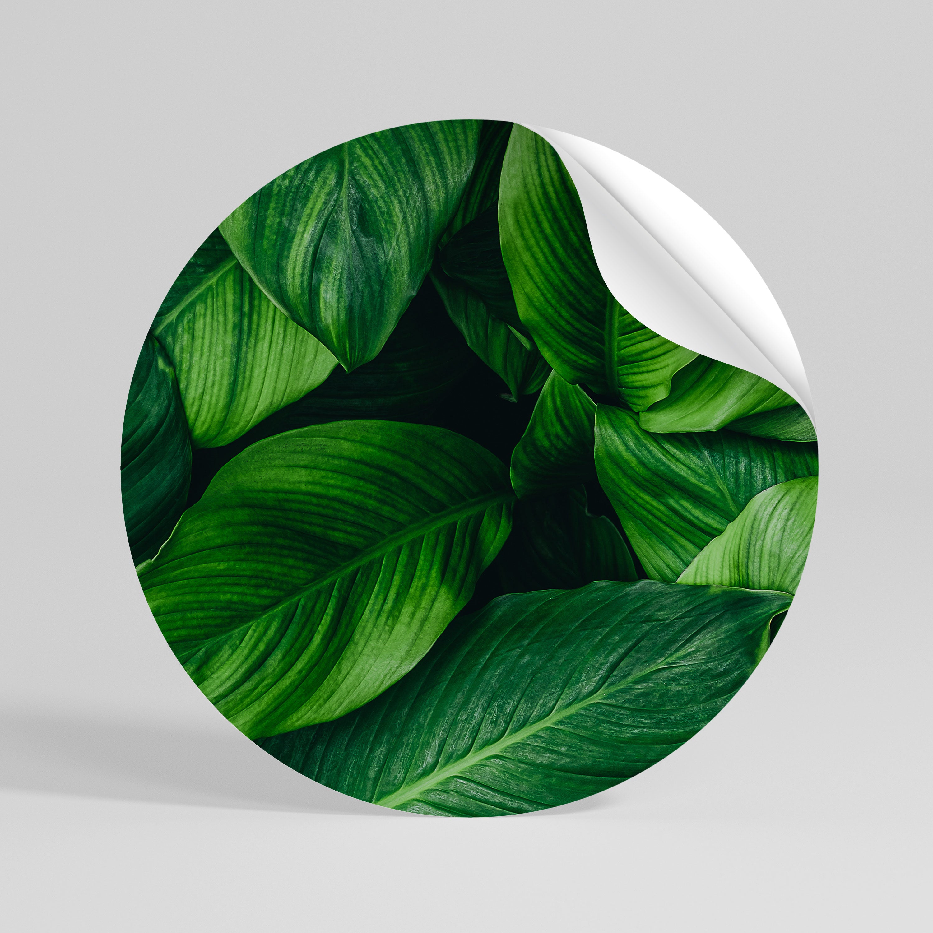 VIBRANT LEAFY EMBRACE Runder Wandsticker zum Abziehen und Aufkleben