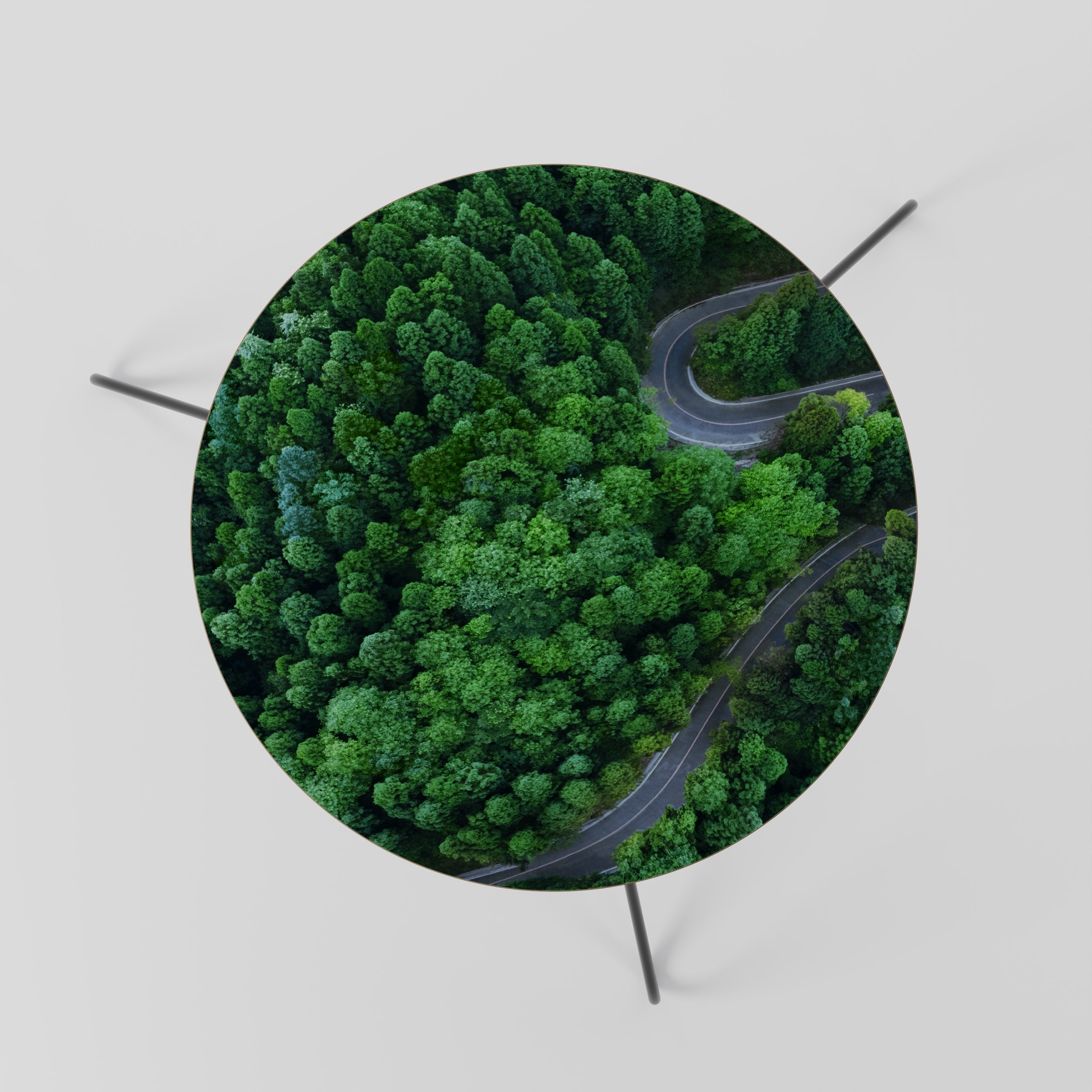 ENCHANTED FOREST RIDE Couchtisch 60