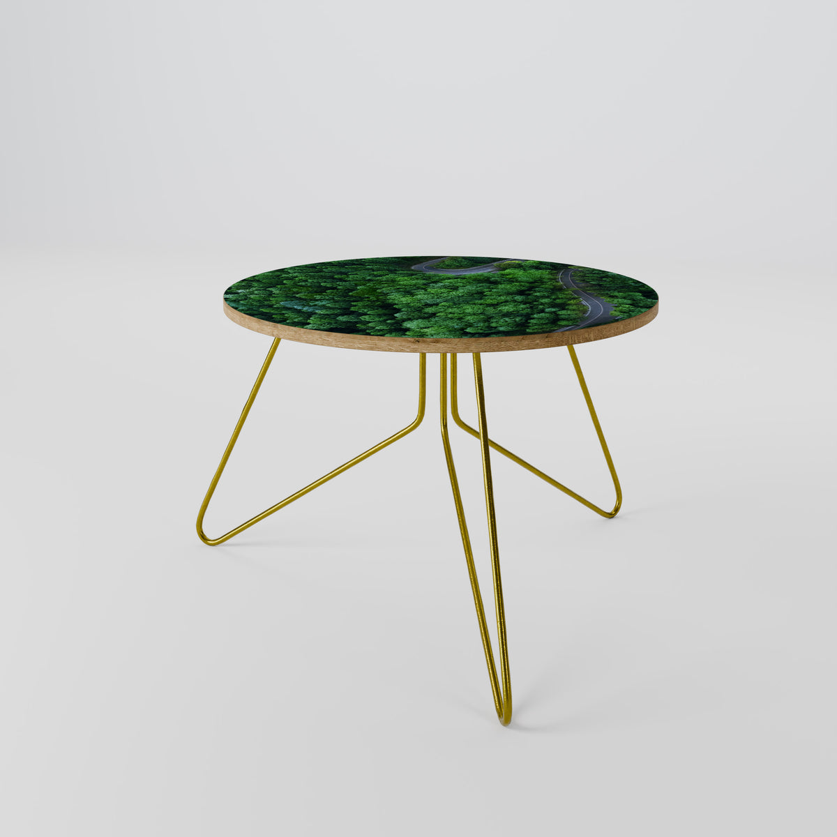 ENCHANTED FOREST RIDE Coffee Table