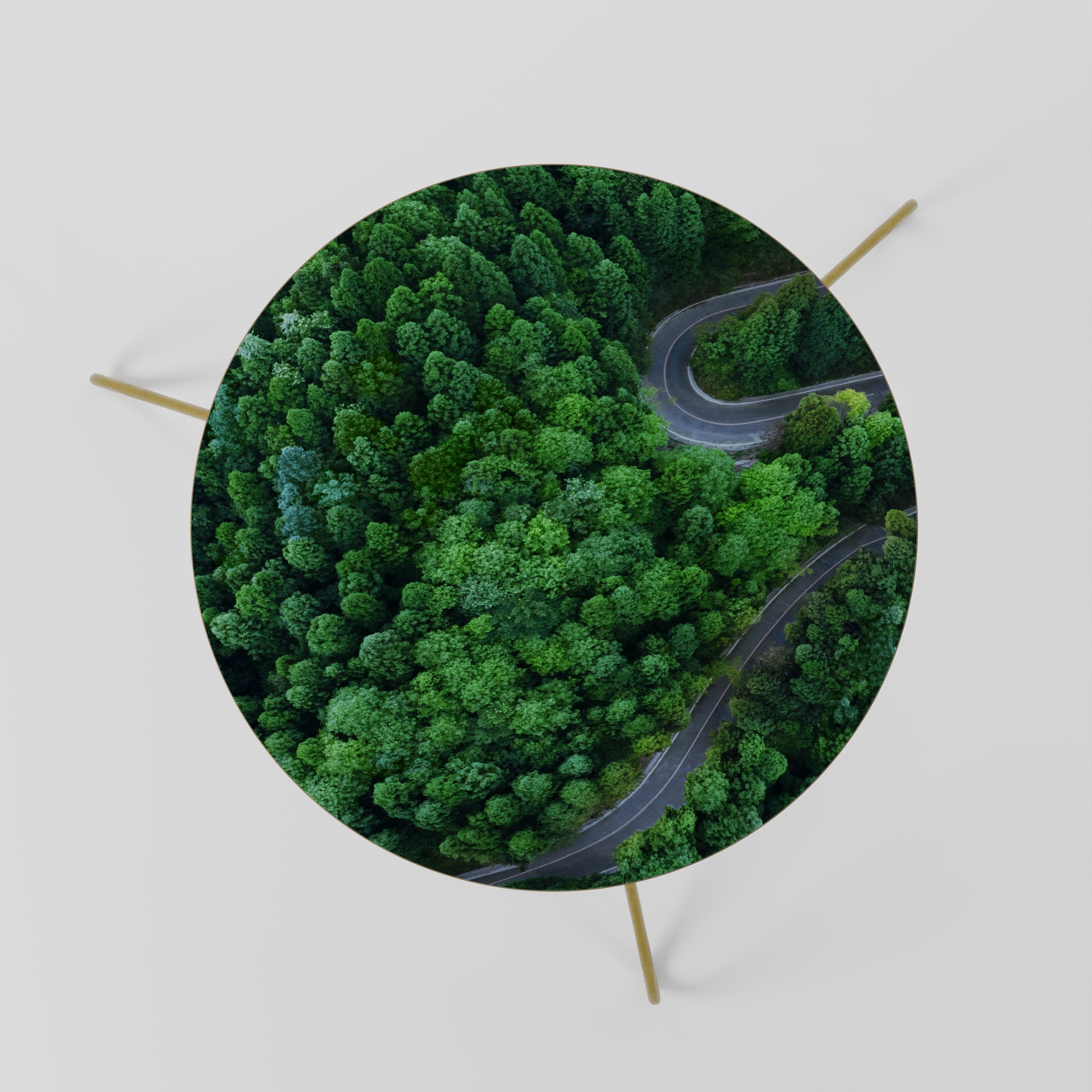 ENCHANTED FOREST RIDE Couchtisch 60