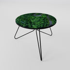 ENCHANTED FOREST RIDE Coffee Table