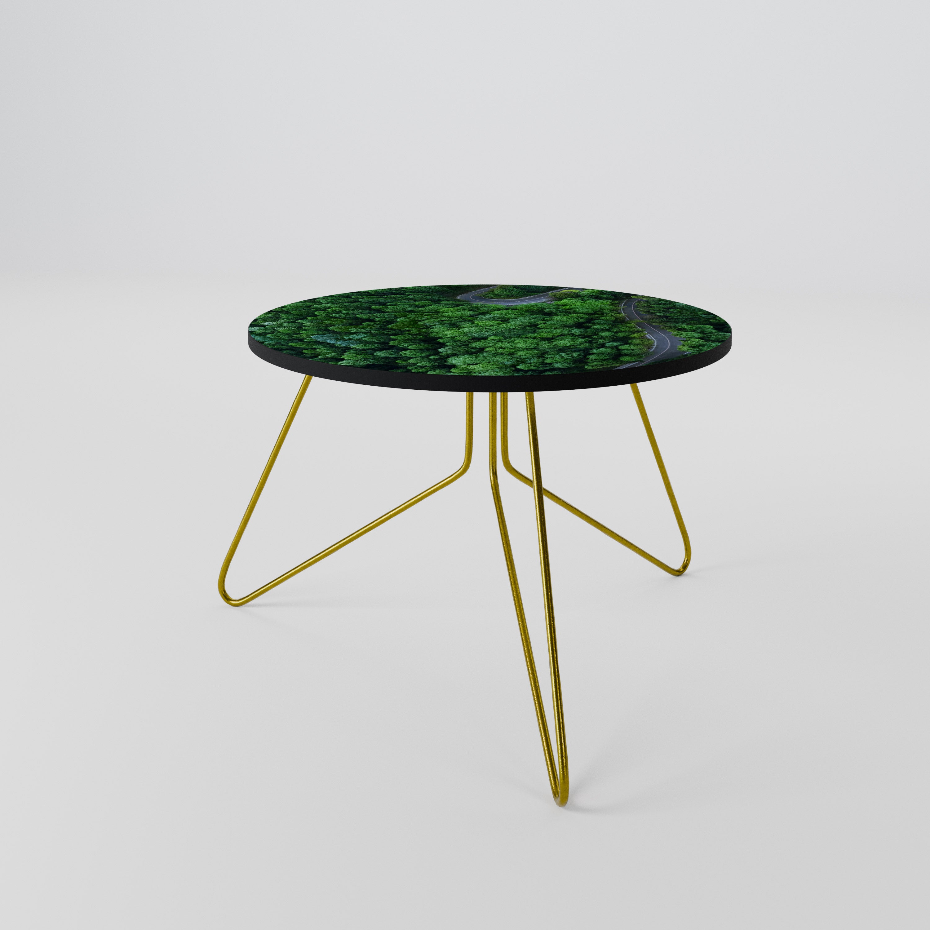 ENCHANTED FOREST RIDE Coffee Table