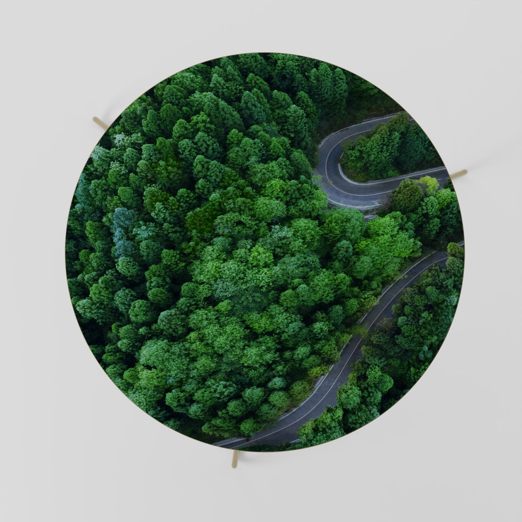 ENCHANTED FOREST RIDE Couchtisch 69