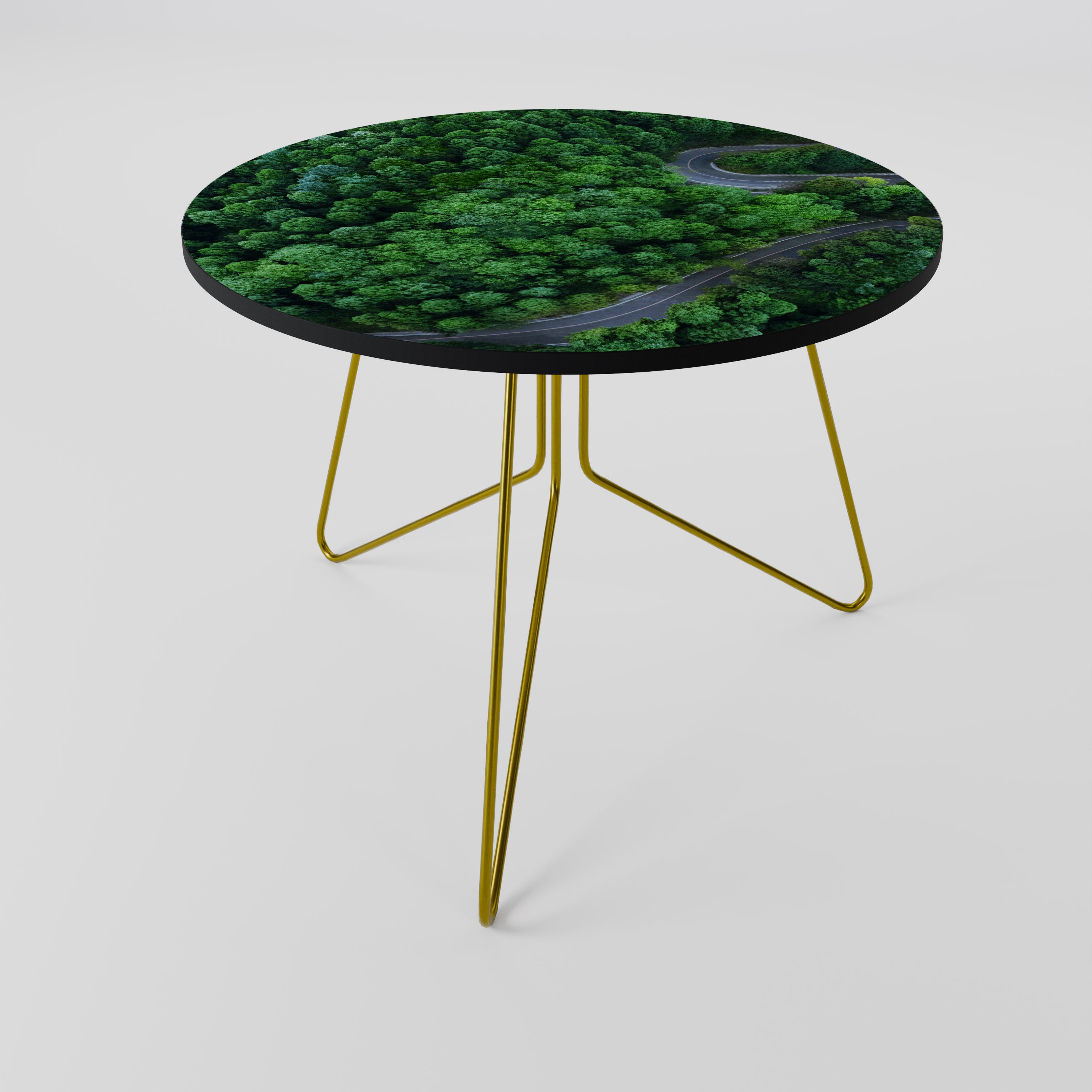 ENCHANTED FOREST RIDE Coffee Table