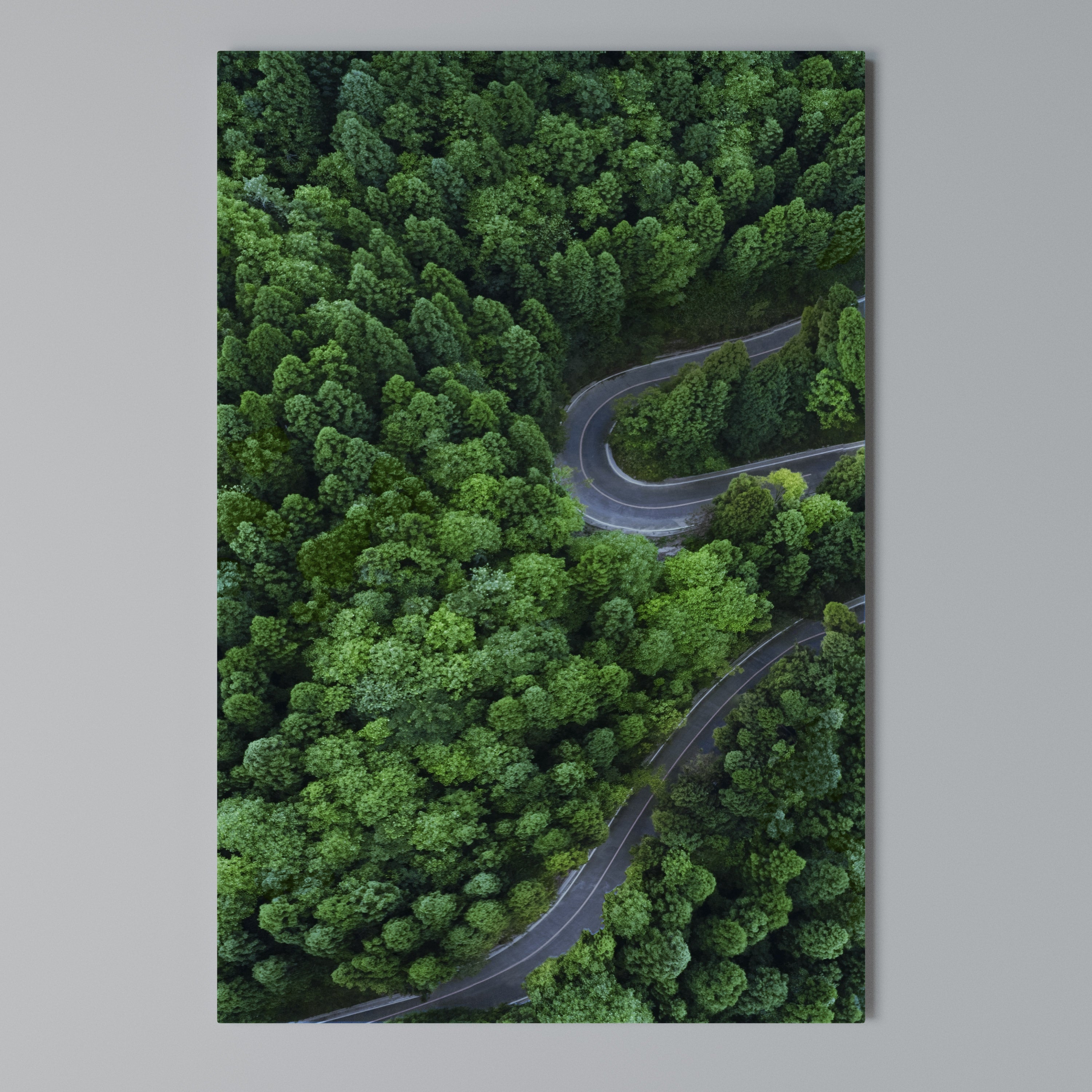 ENCHANTED FOREST RIDE Vertical Canvas Print