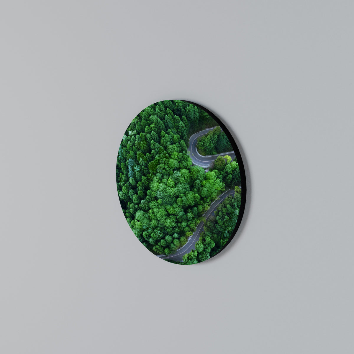 ENCHANTED FOREST RIDE Rundes Wandbild