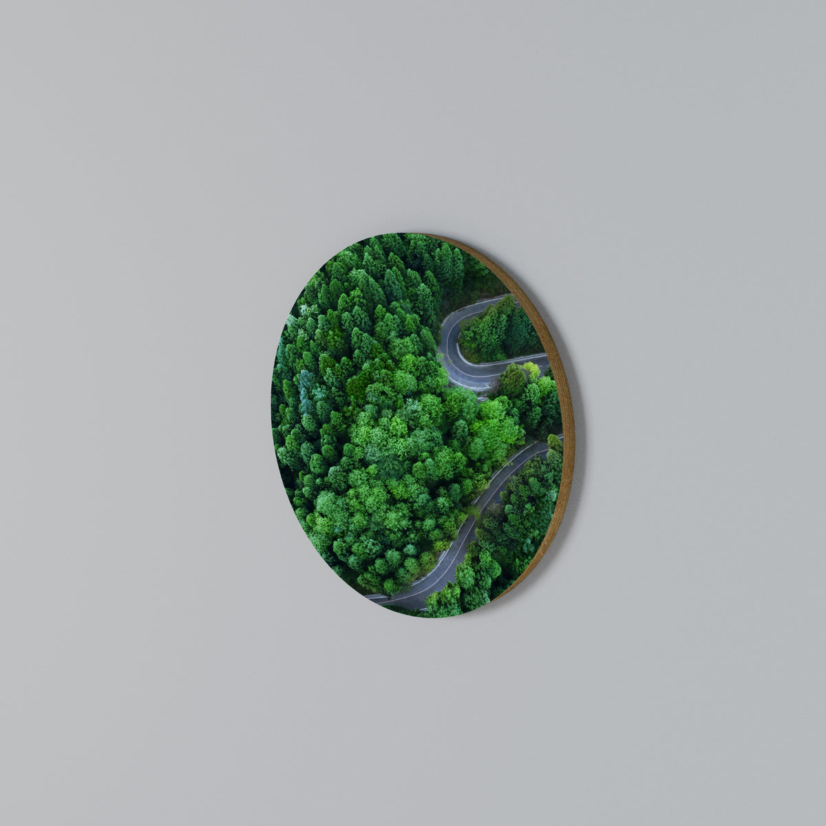ENCHANTED FOREST RIDE Rundes Wandbild