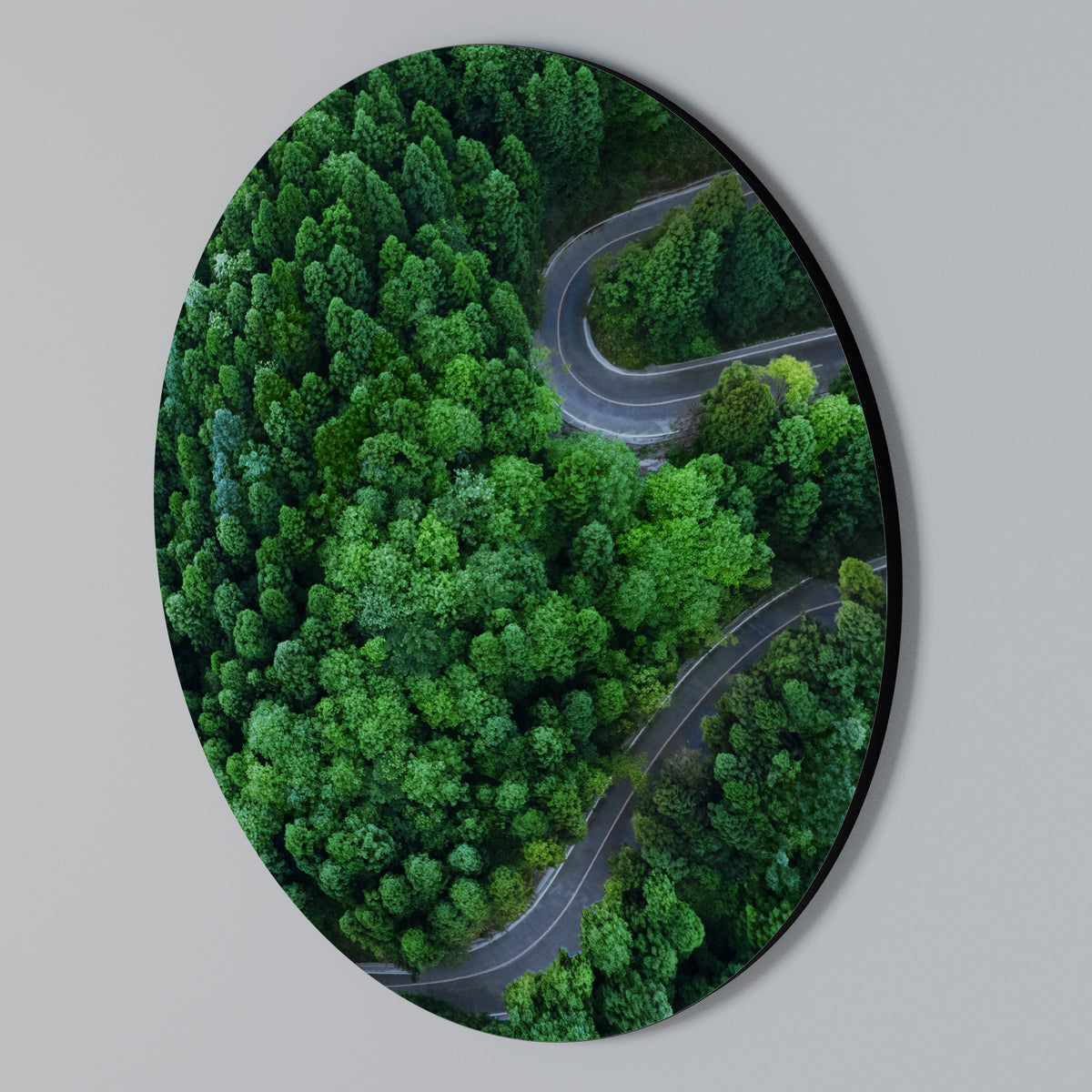 ENCHANTED FOREST RIDE Rundes Wandbild