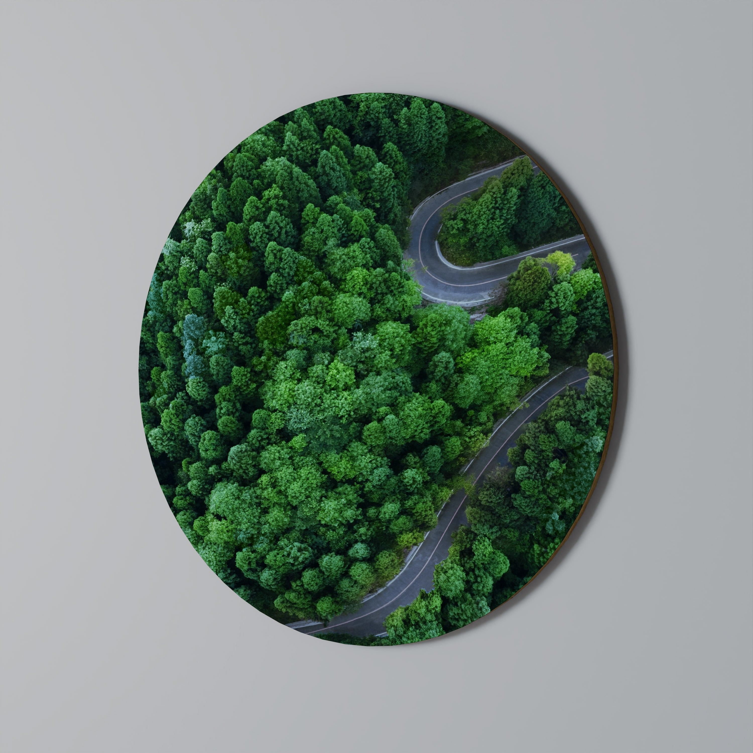 ENCHANTED FOREST RIDE Runde Wanddekoration Ø 69 cm