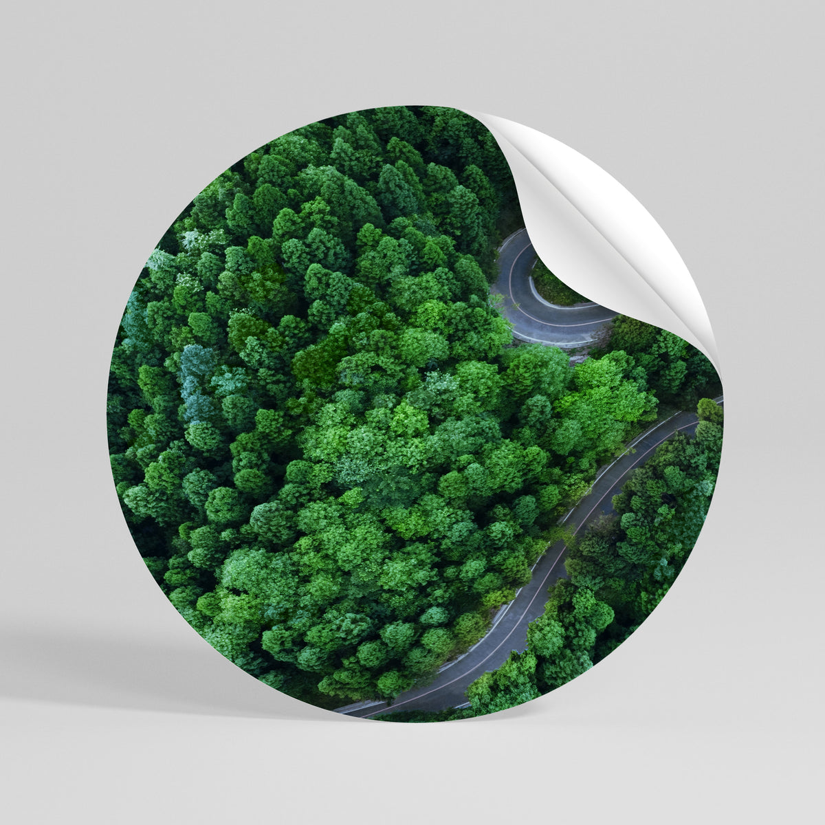 ENCHANTED FOREST RIDE Runder Wandsticker zum Abziehen und Aufkleben