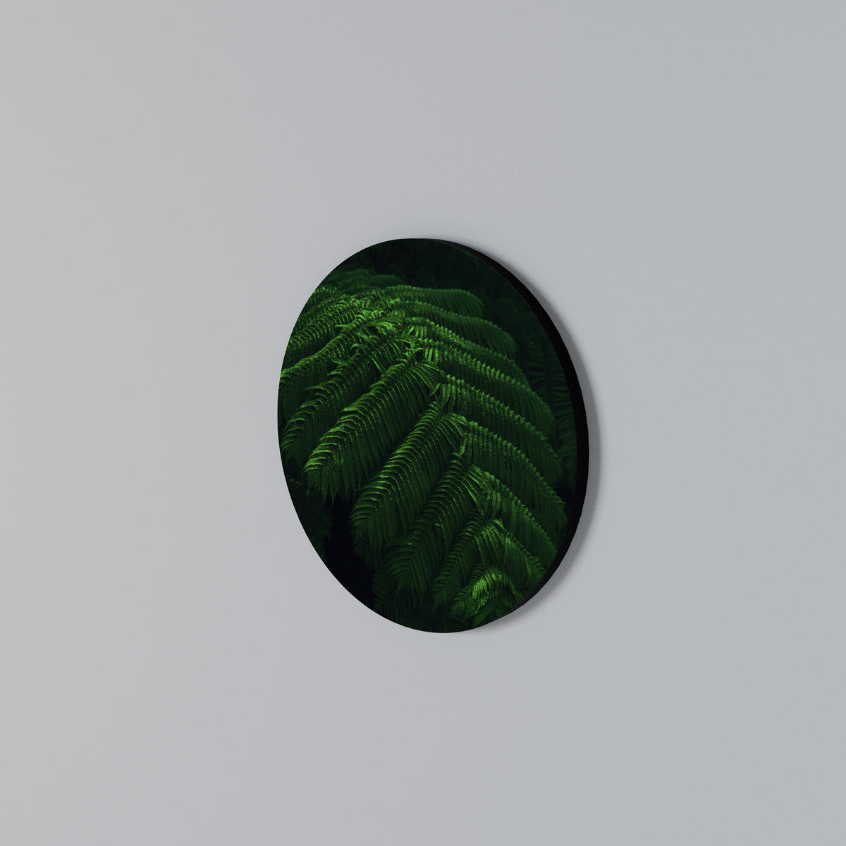 FERN FANTASY Rundes Wandbild