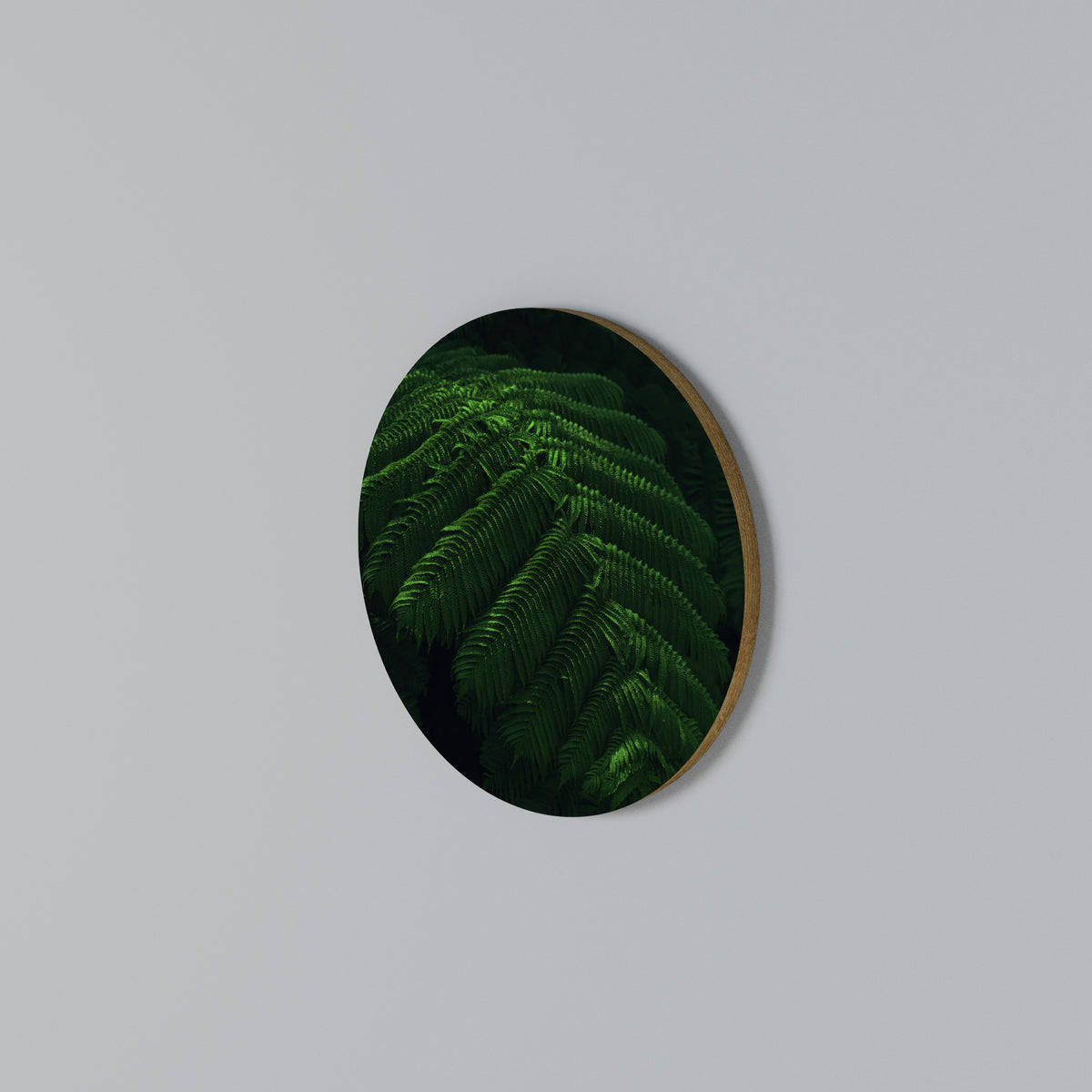 FERN FANTASY Rundes Wandbild