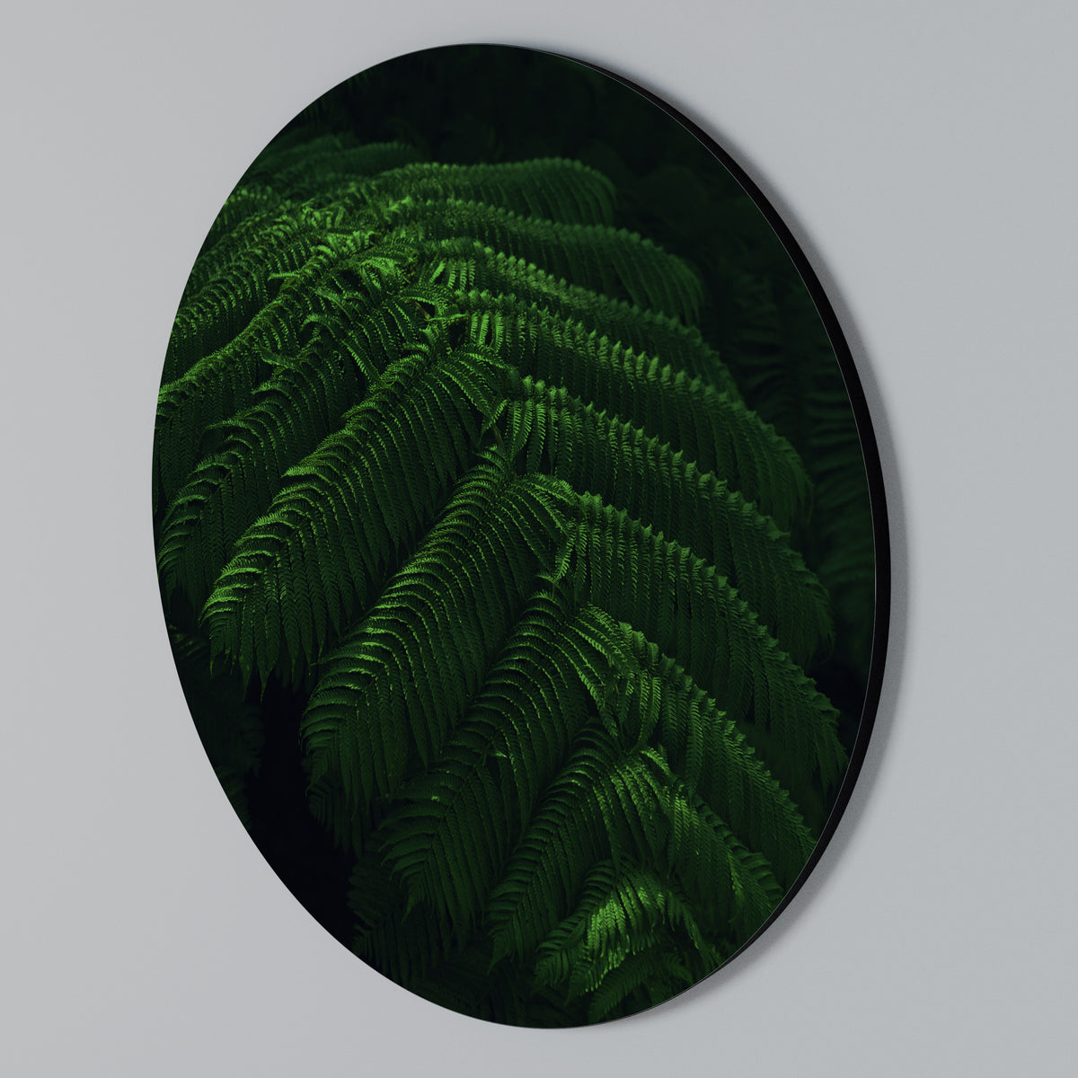 FERN FANTASY Rundes Wandbild