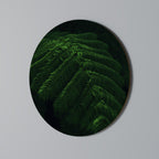 FERN FANTASY Runde Wanddekoration Ø 69 cm