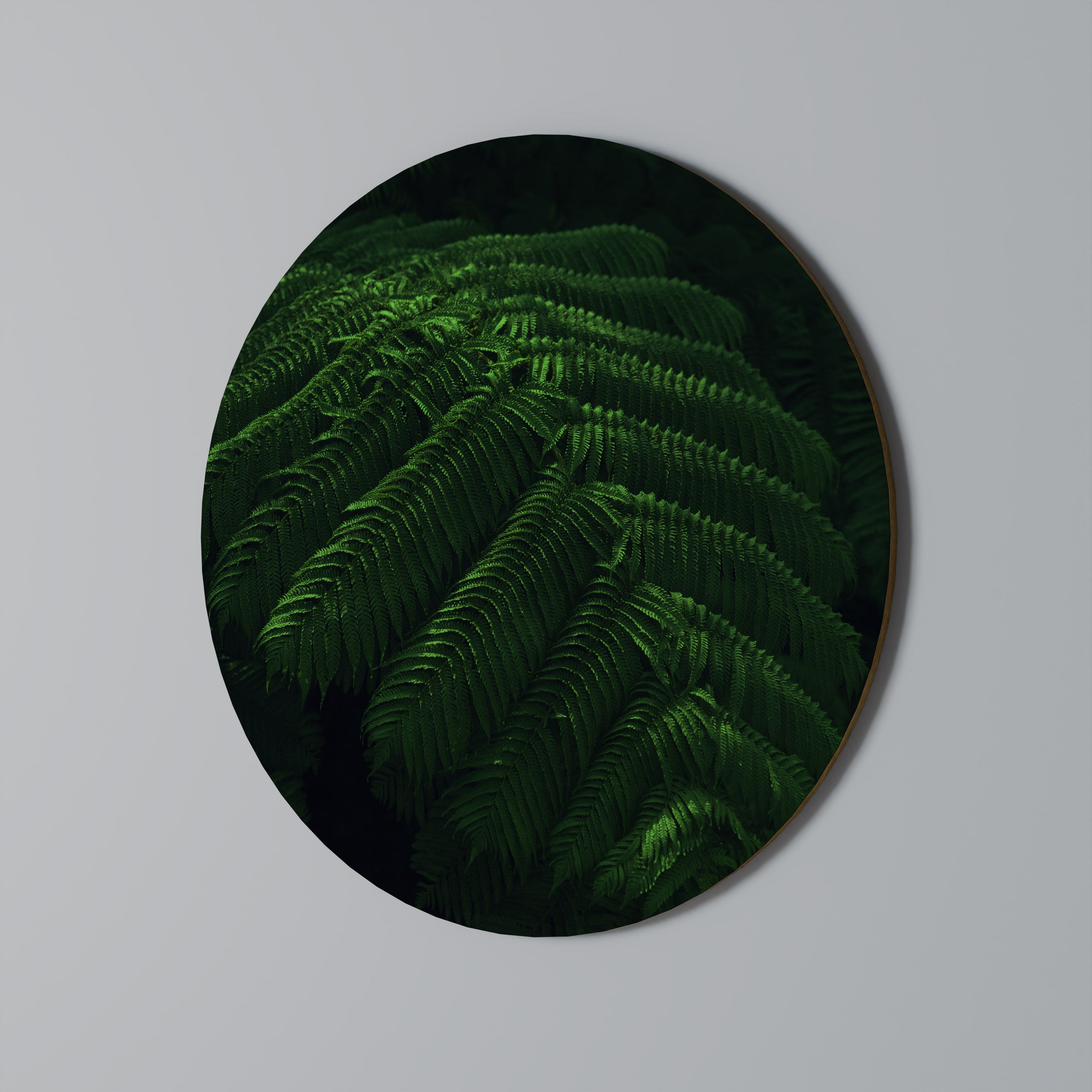 FERN FANTASY Runde Wanddekoration Ø 69 cm