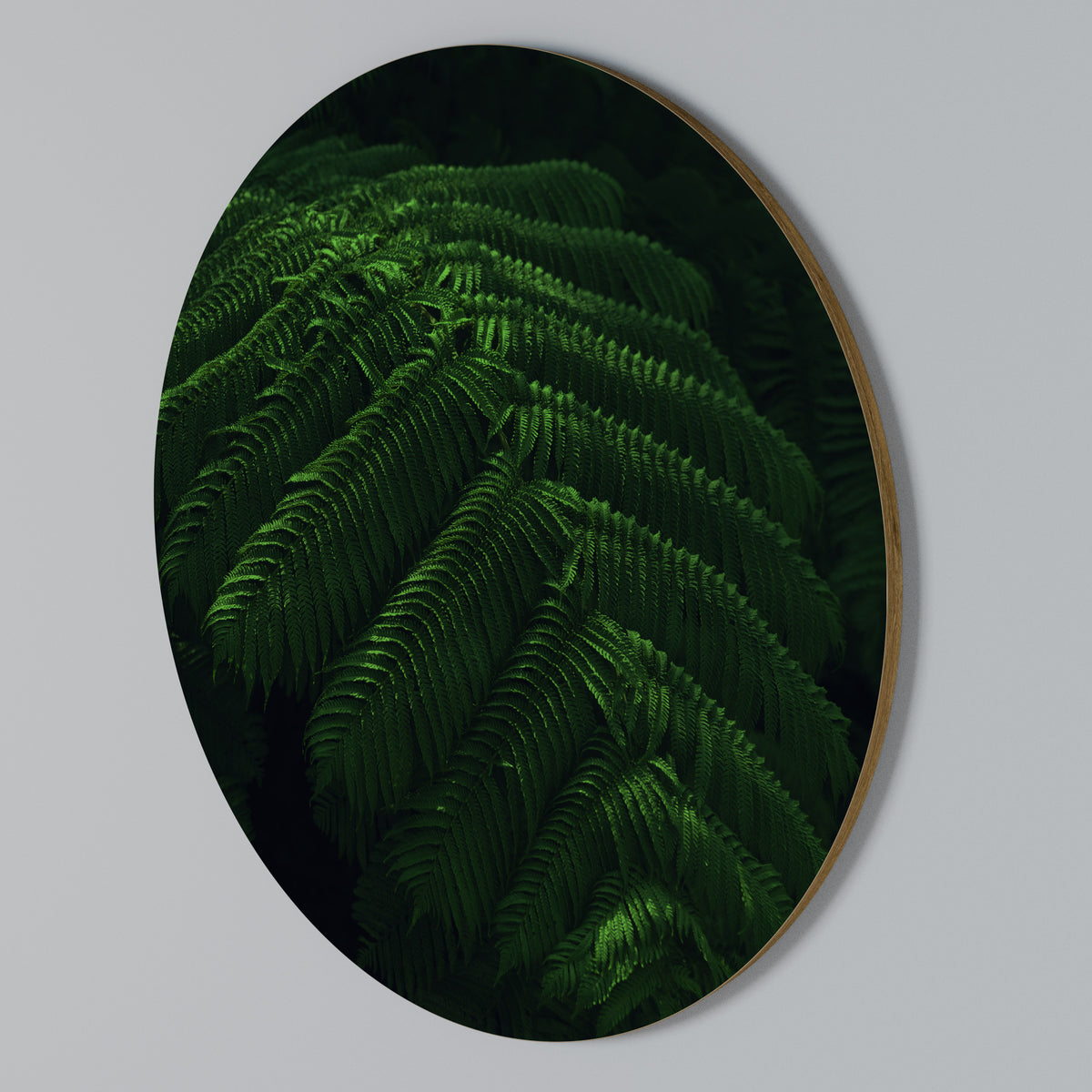 FERN FANTASY Rundes Wandbild
