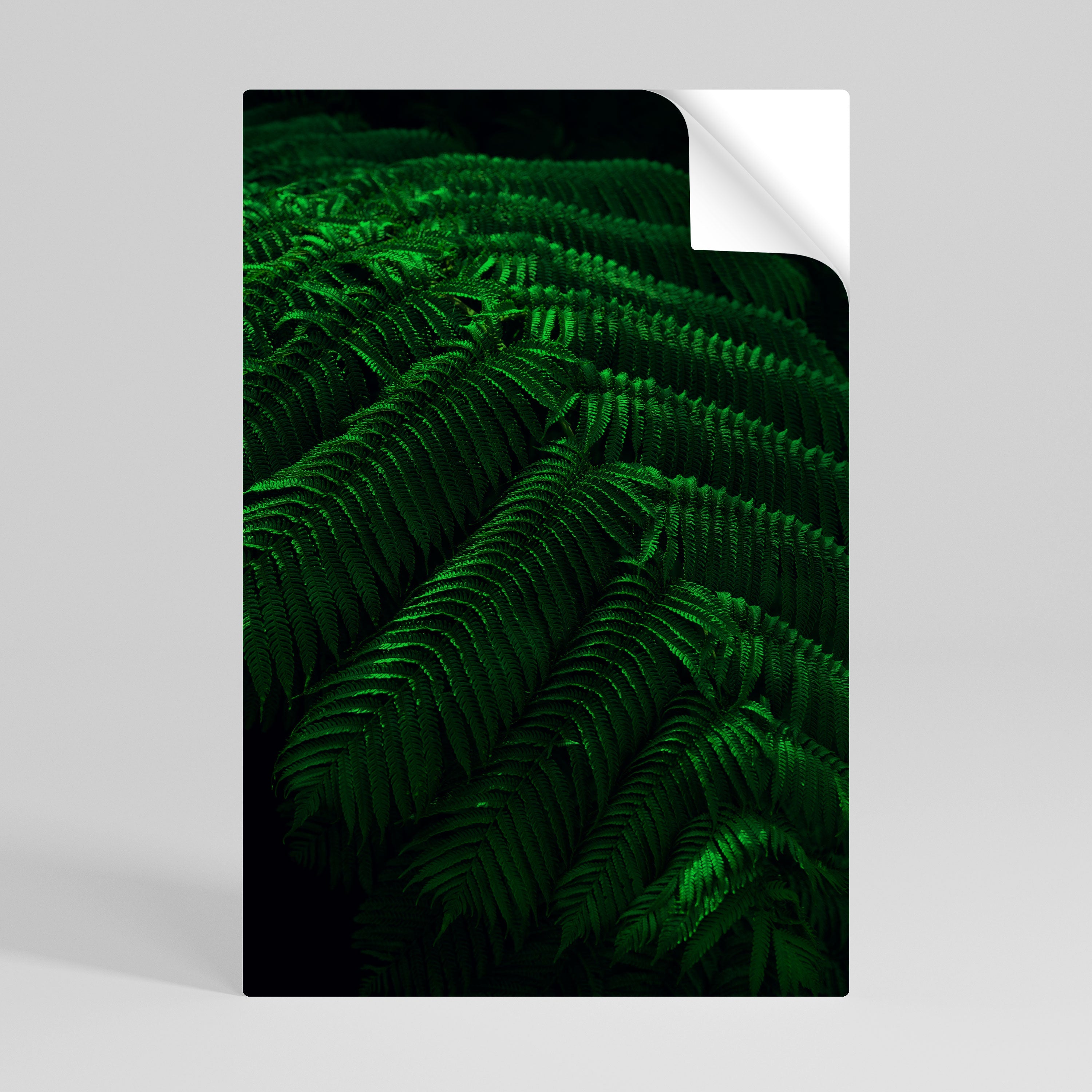 FERN FANTASY Vertikales Poster zum Abziehen und Aufkleben
