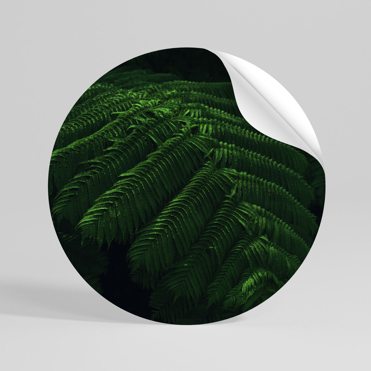 FERN FANTASY Runder Wandsticker zum Abziehen und Aufkleben