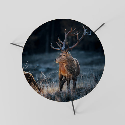 ANTLERED REGALITY Couchtisch Ø 60 cm