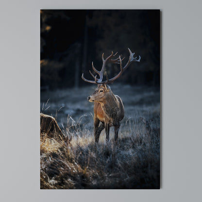 ANTLERED REGALITY Vertical Canvas Print