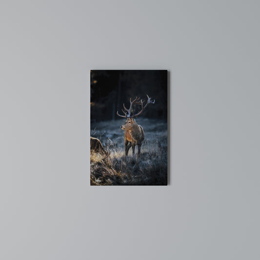 ANTLERED REGALITY Vertical Canvas Print