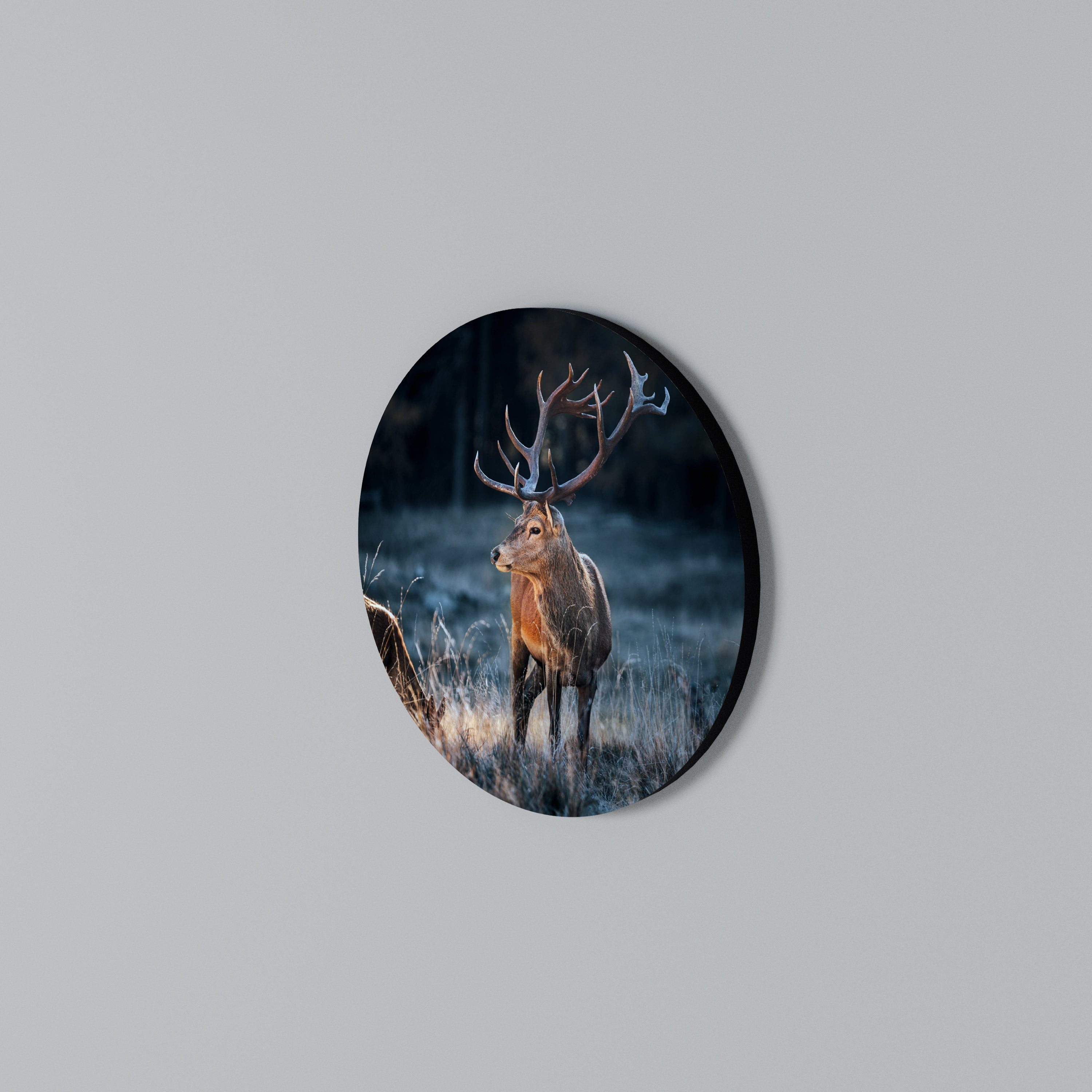 ANTLERED REGALITY Round Wall Art