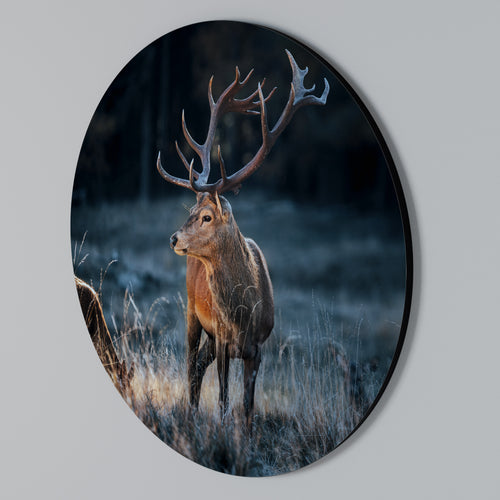 ANTLERED REGALITY Rundes Wandbild