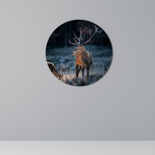 ANTLERED REGALITY Runde Wanddekoration Ø 69 cm