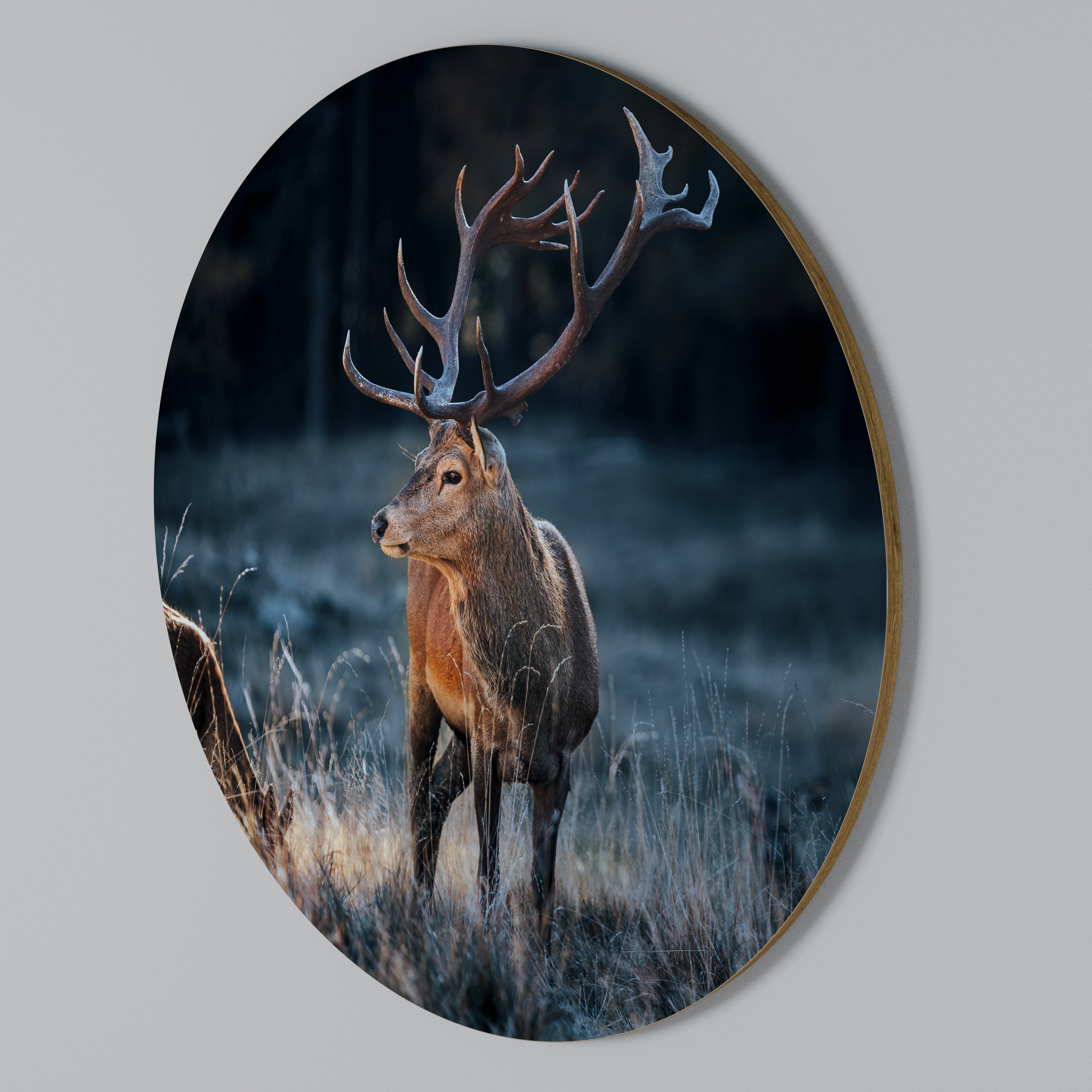 ANTLERED REGALITY Round Wall Art