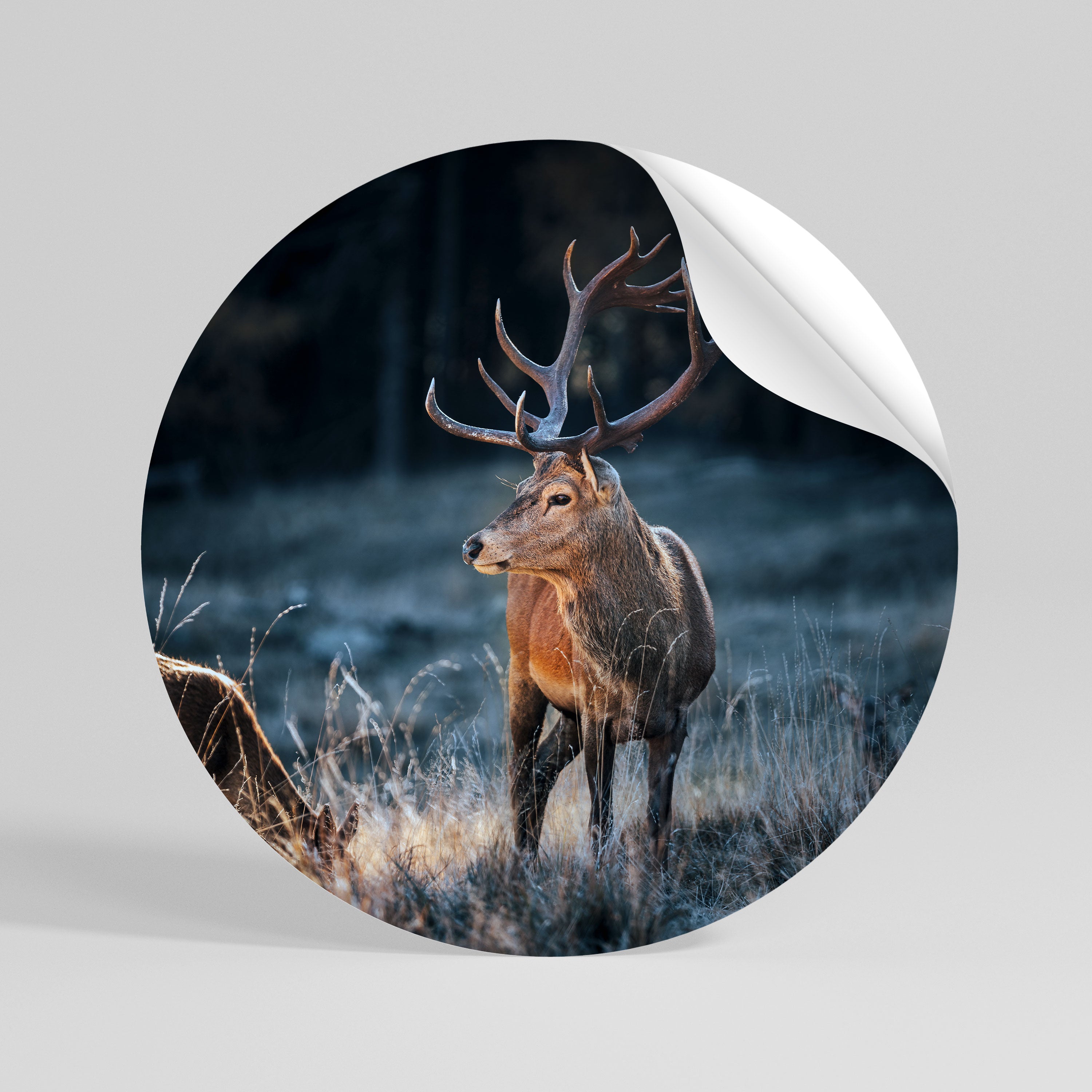 ANTLERED REGALITY Runder Wandsticker zum Abziehen und Aufkleben
